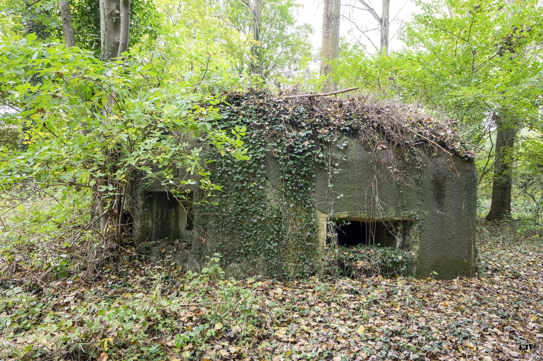 Ligne Maginot - B530 - QUELIPONT EST - (Blockhaus pour canon) -  - Lia VERMEULEN