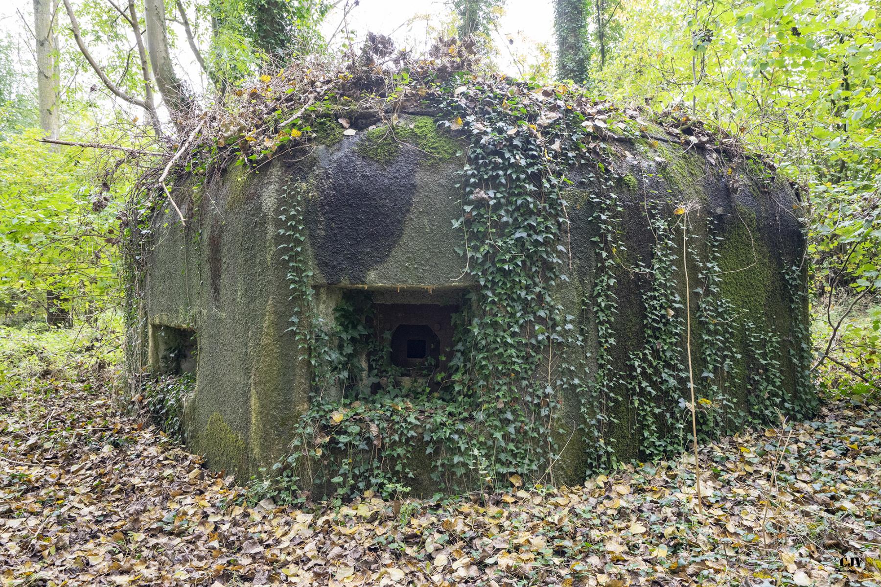 Ligne Maginot - B530 - QUELIPONT EST - (Blockhaus pour canon) - Créneau de flanquement - Lia VERMEULEN