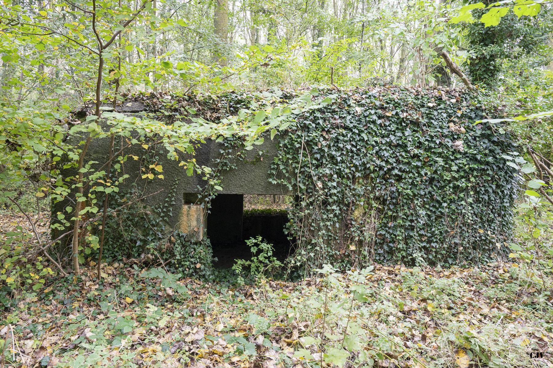 Ligne Maginot - B530 - QUELIPONT EST - (Blockhaus pour canon) - L'entrée - Lia VERMEULEN