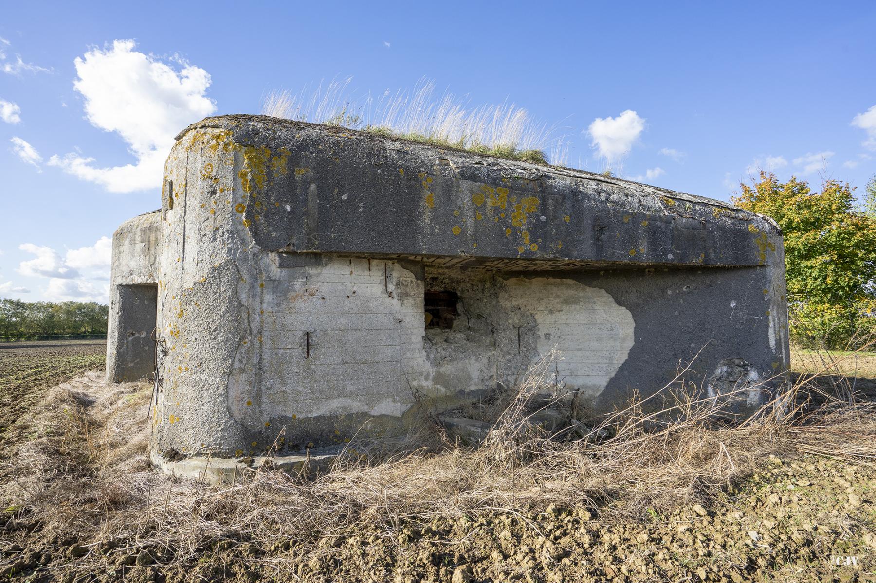 Ligne Maginot - B535 - BOIS-CRETE - (Blockhaus pour canon) - Le blockhaus coté Est - Lia VERMEULEN