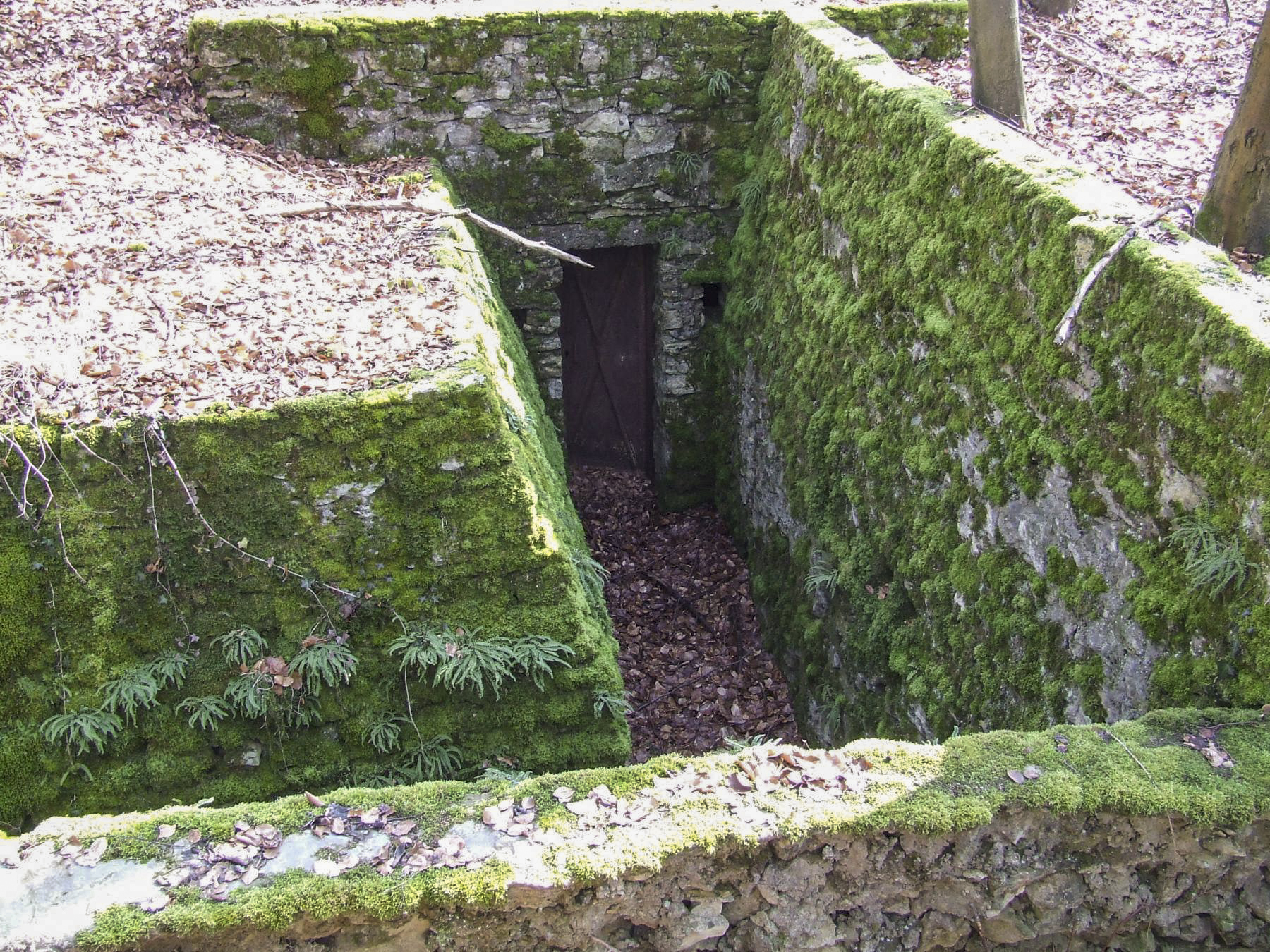 Ligne Maginot - BOIS DE PONTPIERRE (II/146° RIF) - (PC de Quartier) - Une des alvéole avec encore sa porte d'origine. - STENGER Mathieu