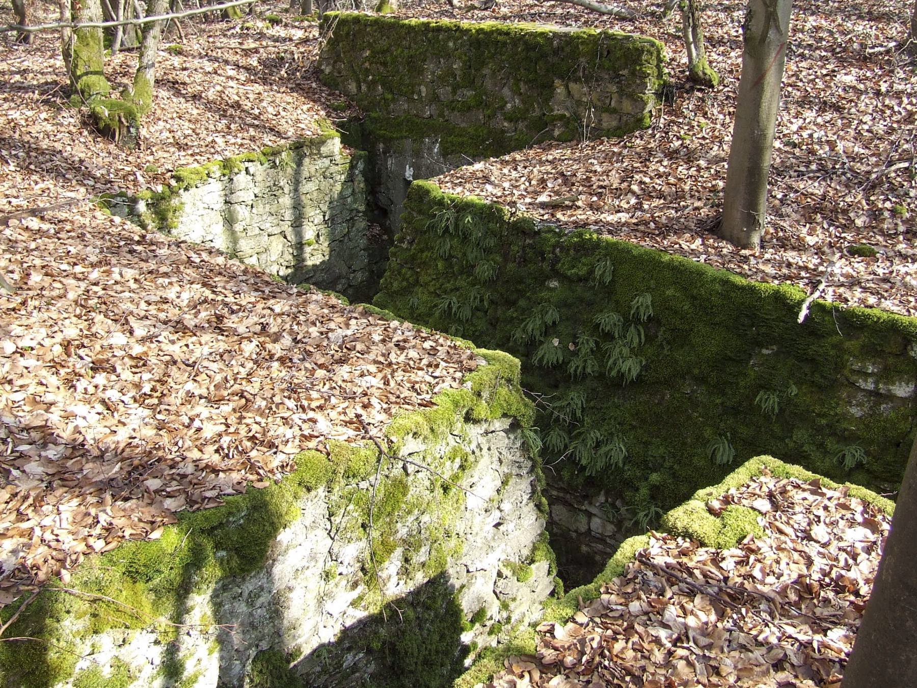 Ligne Maginot - BOIS DE PONTPIERRE (II/146° RIF) - (PC de Quartier) - Les tranchées en chicane du PC. - STENGER Mathieu