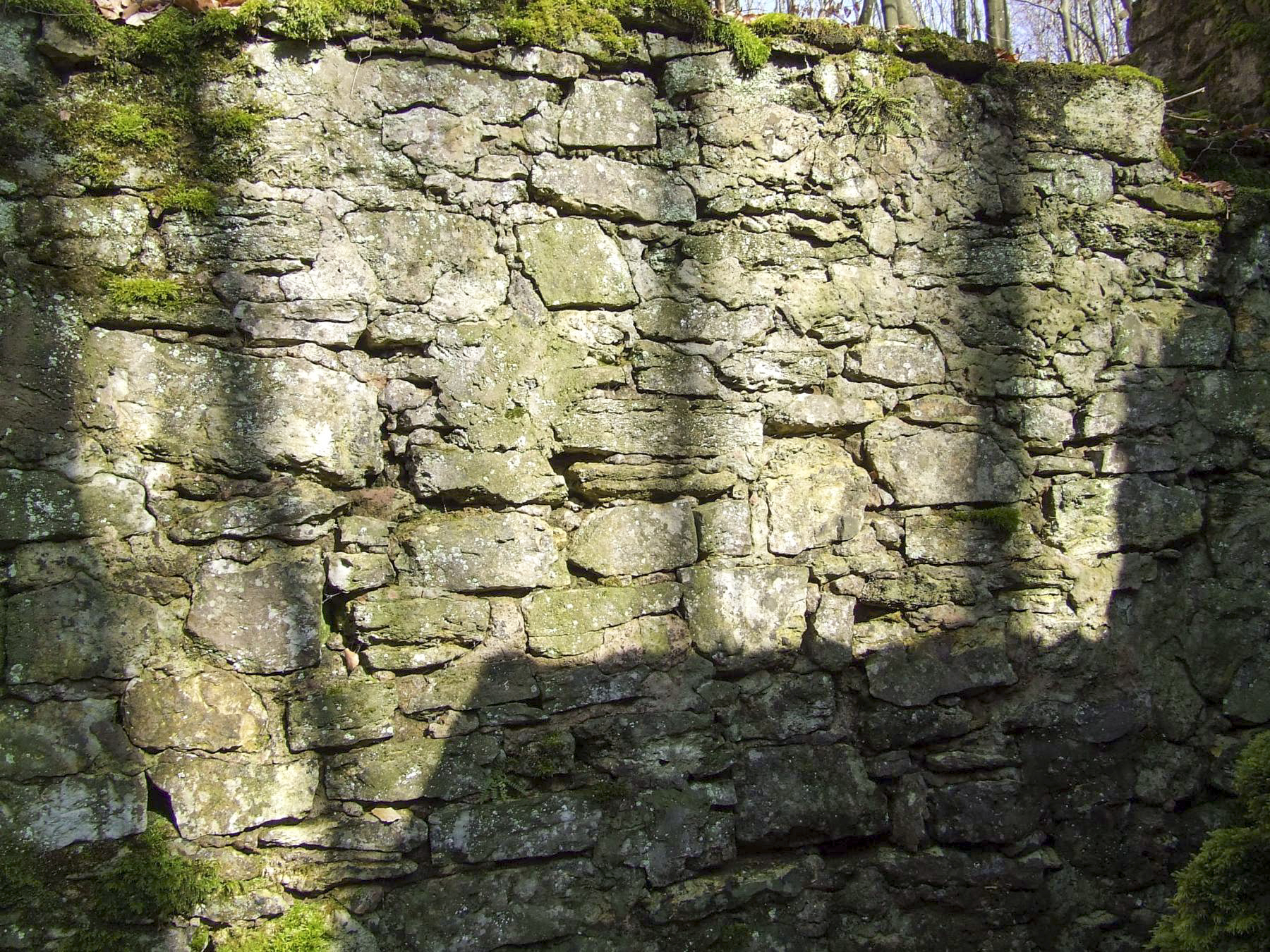 Ligne Maginot - BOIS DE PONTPIERRE (II/146° RIF) - (PC de Quartier) - Le mur en pierre de renforcement de la tranchée. - STENGER Mathieu