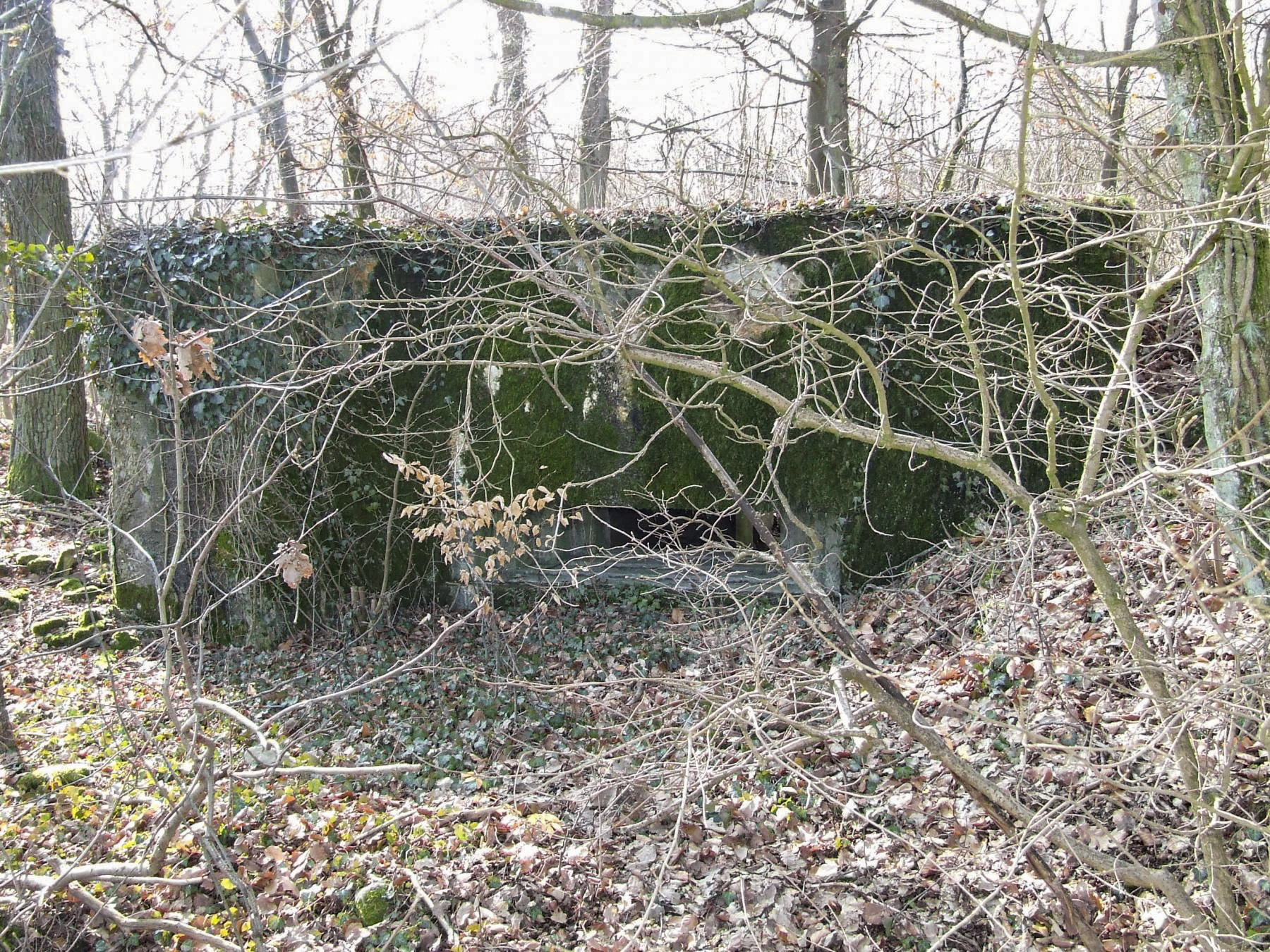 Ligne Maginot - AB5 - (Blockhaus pour canon) - La façade de tir. - STENGER Mathieu