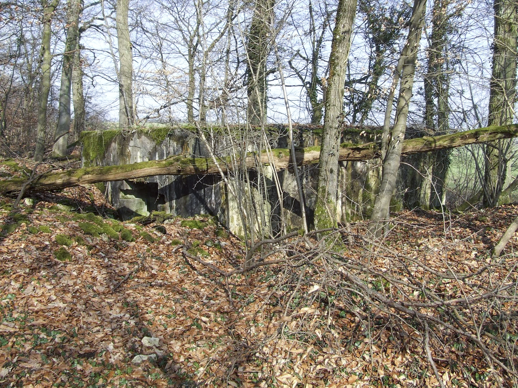 Ligne Maginot - AB5 - (Blockhaus pour canon) - L'arrière du blockhaus - STENGER Mathieu