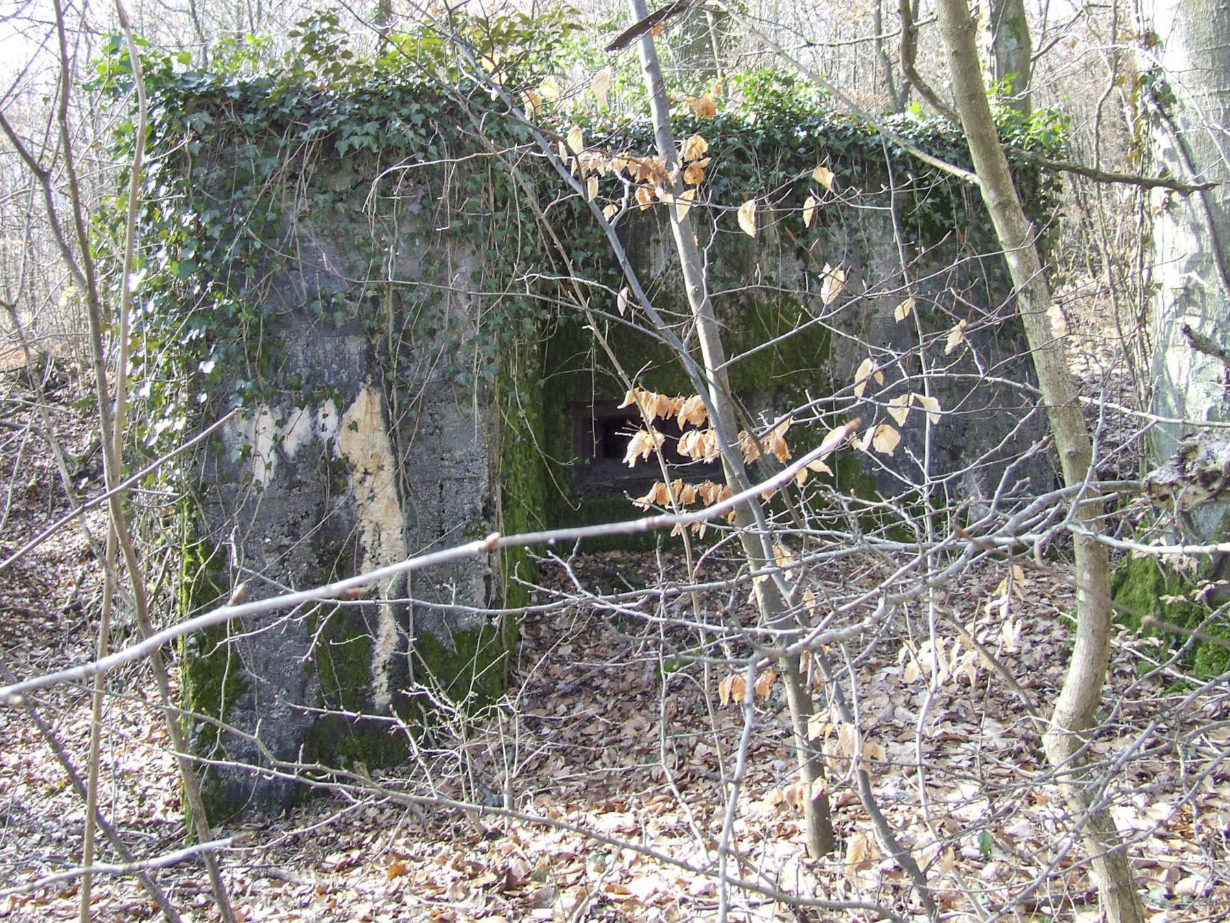 Ligne Maginot - AB5-B - (Blockhaus pour arme infanterie) - La façade de tir du blockhaus. - STENGER Mathieu