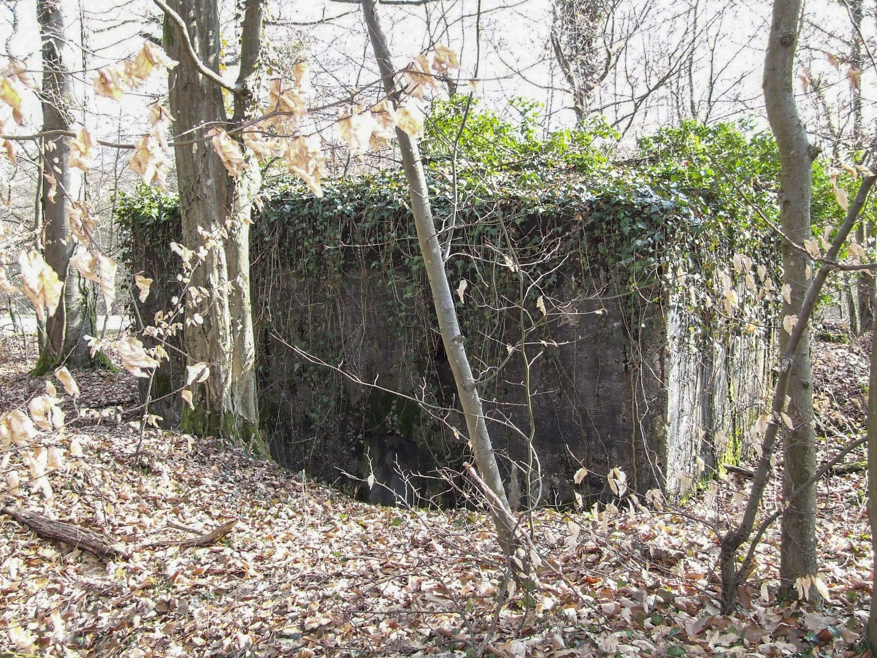 Ligne Maginot - AB5-B - (Blockhaus pour arme infanterie) - La façade arrière et l'entrée. - STENGER Mathieu