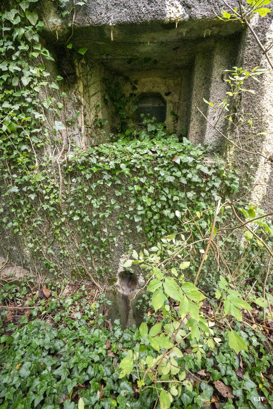 Ligne Maginot - B540 - RUAINCE - (Blockhaus pour canon) - Créneau ouest - Lia VERMEULEN