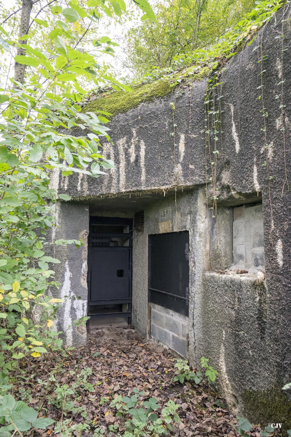 Ligne Maginot - B540 - RUAINCE - (Blockhaus pour canon) - L'entrée est fermé.
Le blockhaus est aménagé pour les chauve souris - Lia VERMEULEN