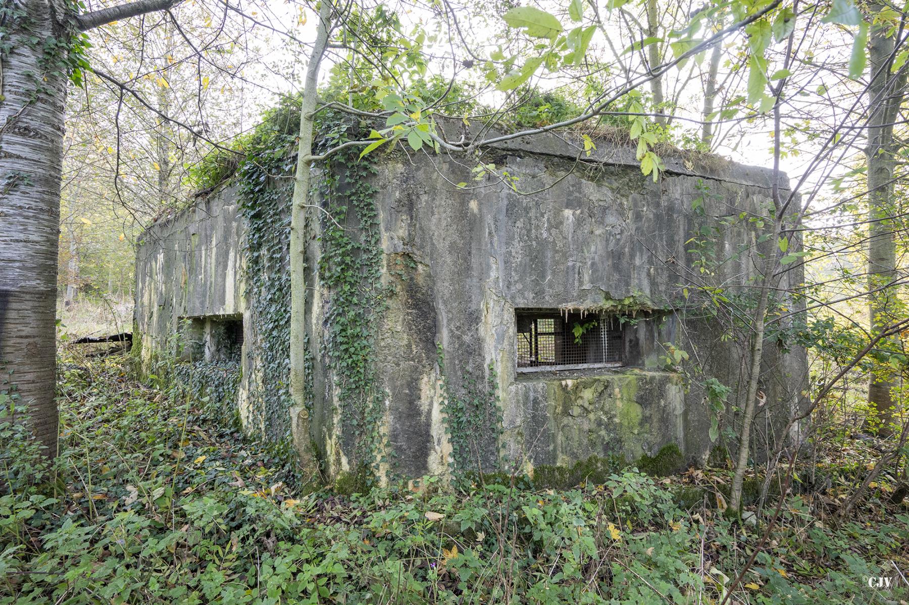 Ligne Maginot - B543 - SAINT WAAST - (Blockhaus pour arme infanterie) - Les deux créneaux qui couvrent la vallée - Lia VERMEULEN