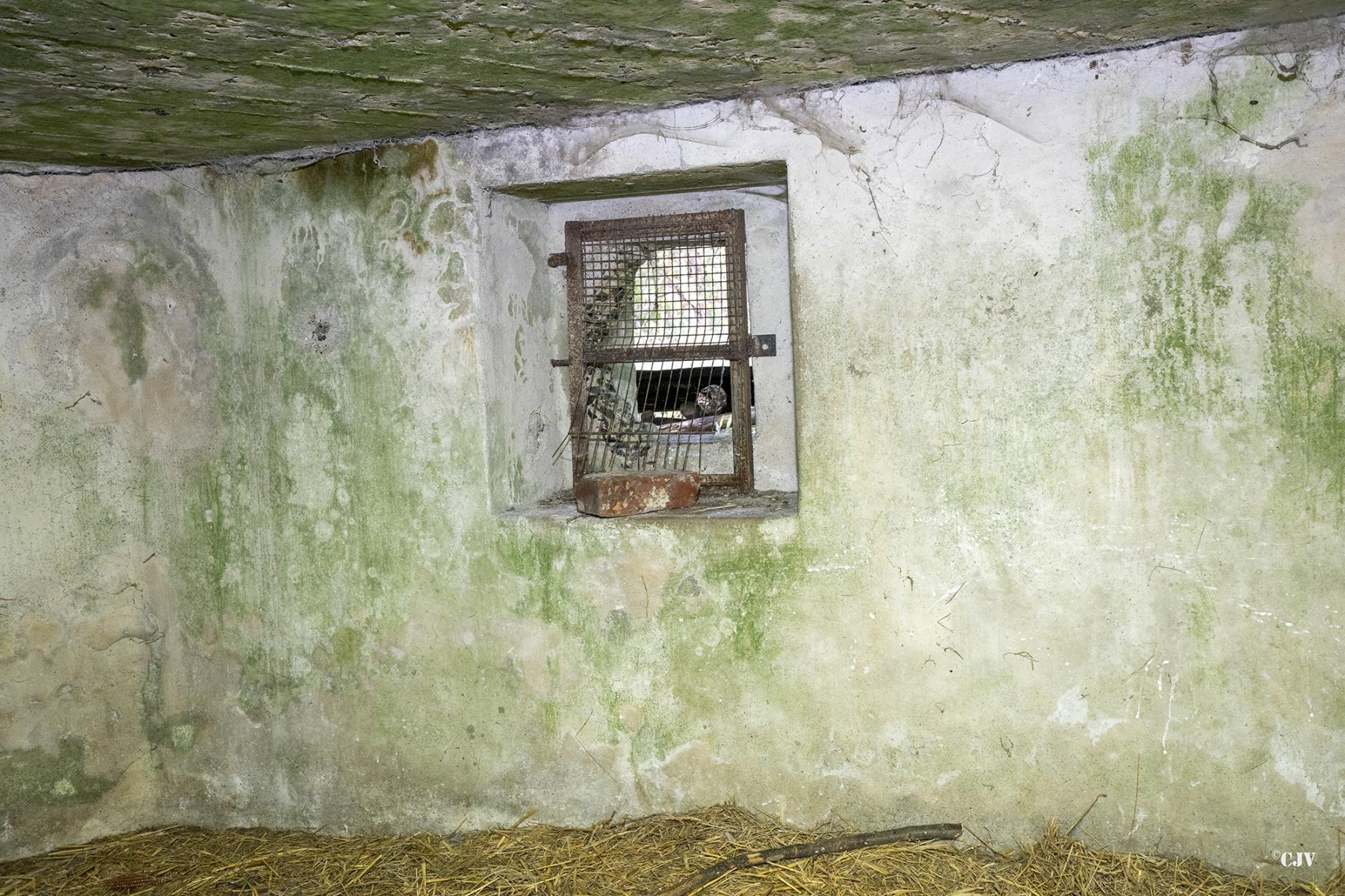 Ligne Maginot - B543 - SAINT WAAST - (Blockhaus pour arme infanterie) - Petit créneaux direction chemin de fer - Lia VERMEULEN