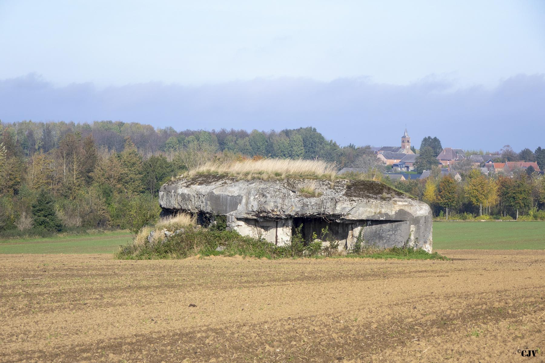Ligne Maginot - B545 - SAINT WAAST LA VALLEE - (Blockhaus pour canon) -  - Lia VERMEULEN