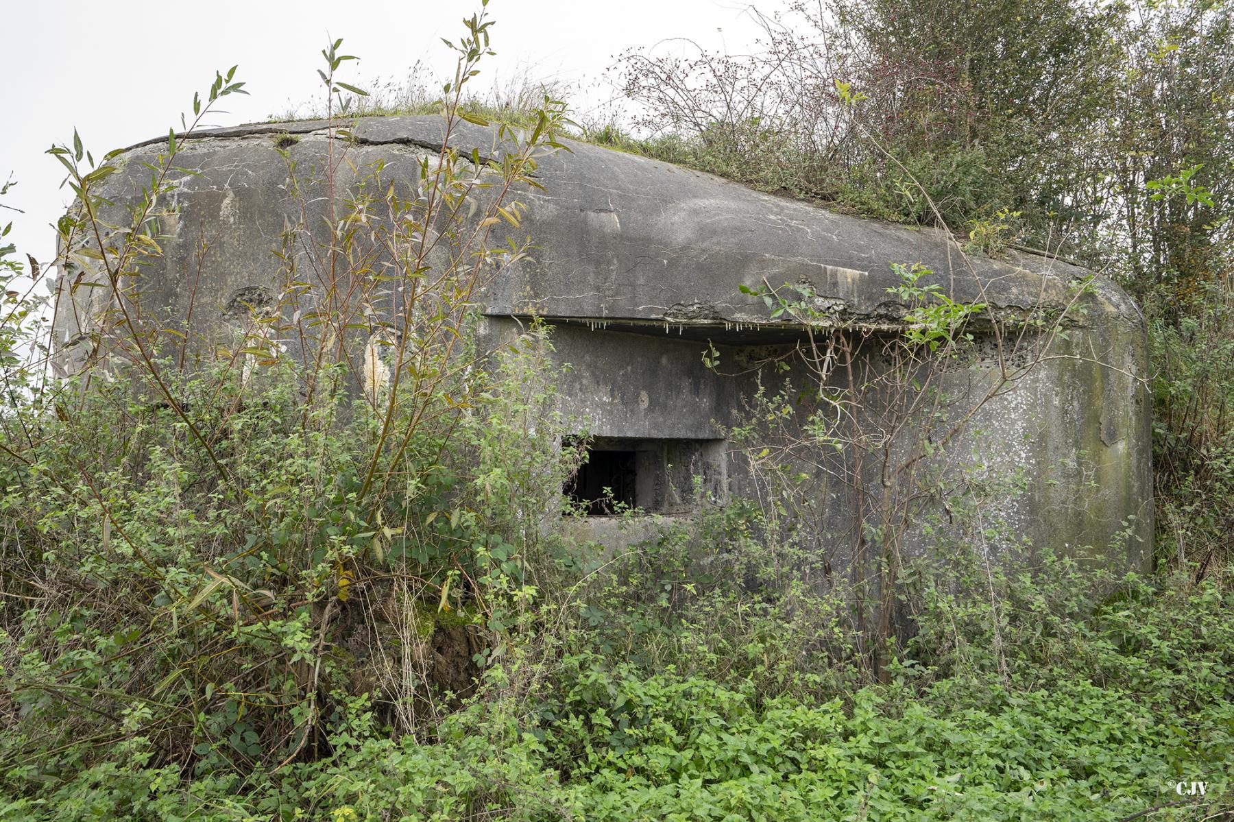 Ligne Maginot - B550 - LA BOETE - (Blockhaus pour canon) - Côté Est - Lia VERMEULEN