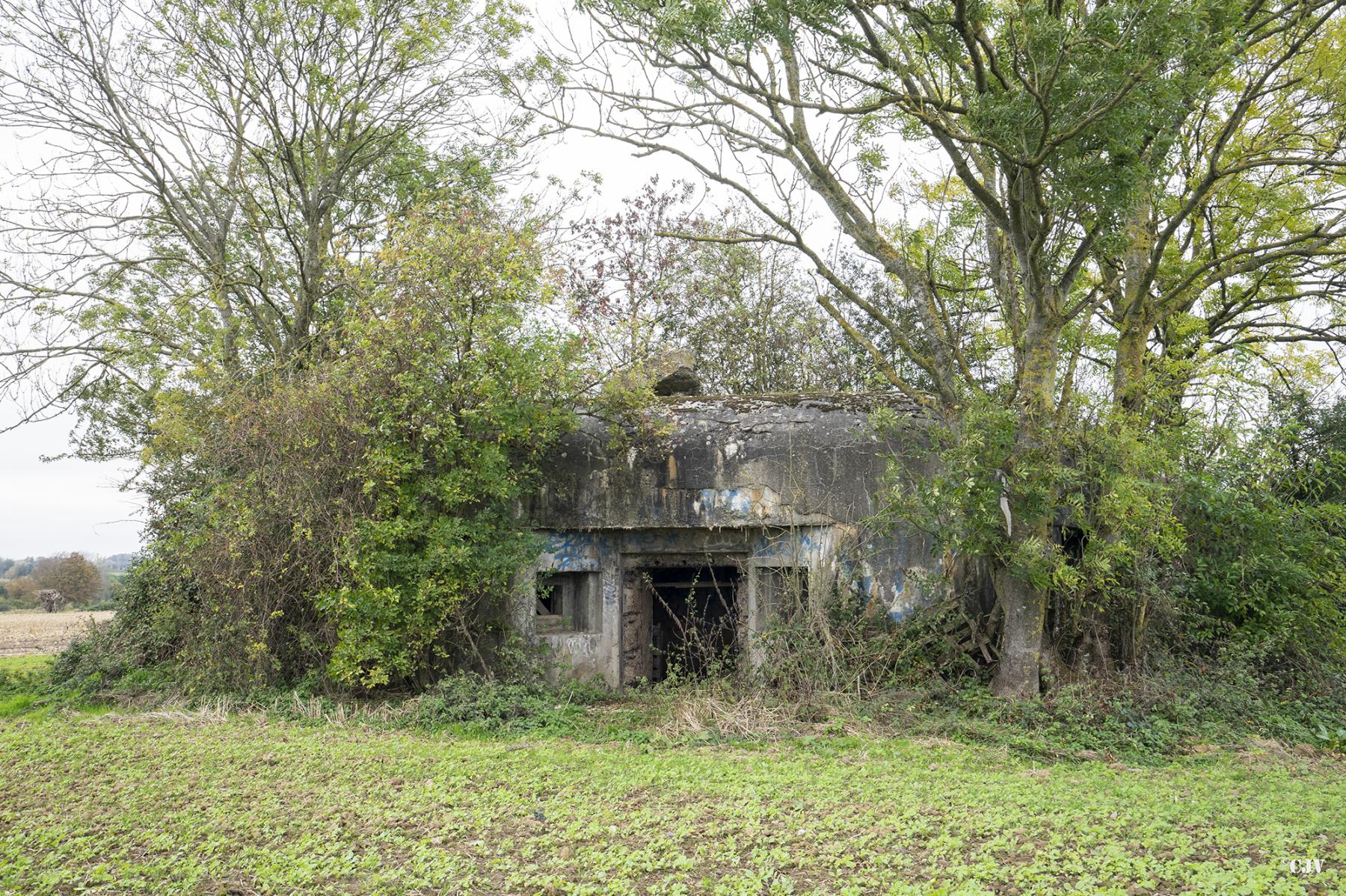 Ligne Maginot - B553 - FERME CAMBRON - (Blockhaus pour canon) - Vue générale - Lia VERMEULEN