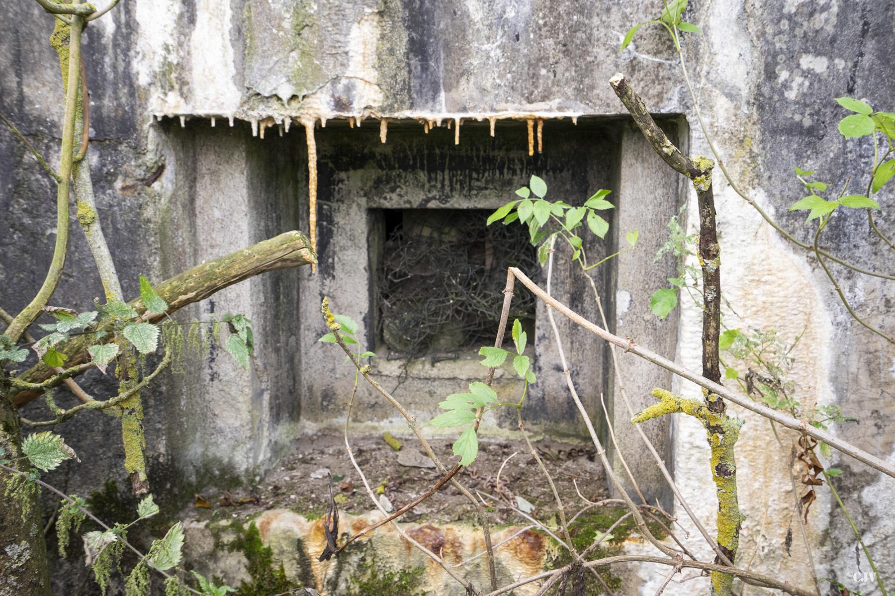 Ligne Maginot - B553 - FERME CAMBRON - (Blockhaus pour canon) - Un des créneaux de défense de l'entrée - Lia VERMEULEN