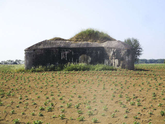 Ligne Maginot - B563 - PETIT CHENE - (Blockhaus pour canon) -  - Smardz Félix