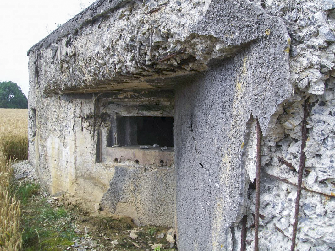 Ligne Maginot - B563 - PETIT CHENE - (Blockhaus pour canon) -  - Eric BEUGNIES