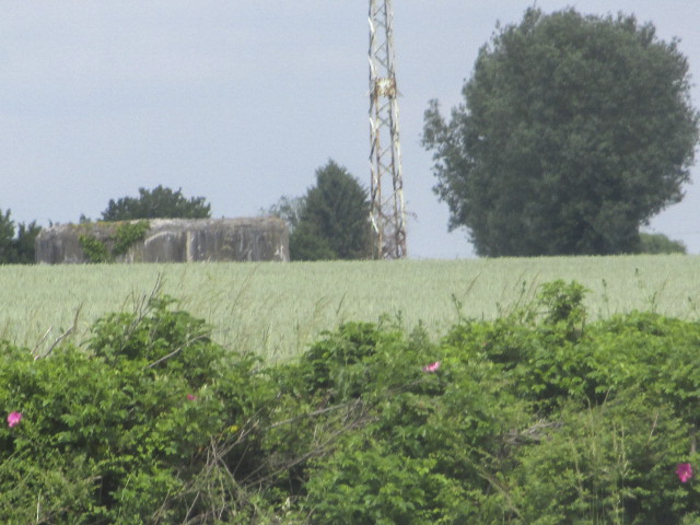 Ligne Maginot - B568BIS - PRE AULNOIS - (Blockhaus pour arme infanterie) - Photo prise de la D 932 - Route de Maubeuge. - Smardz Félix
