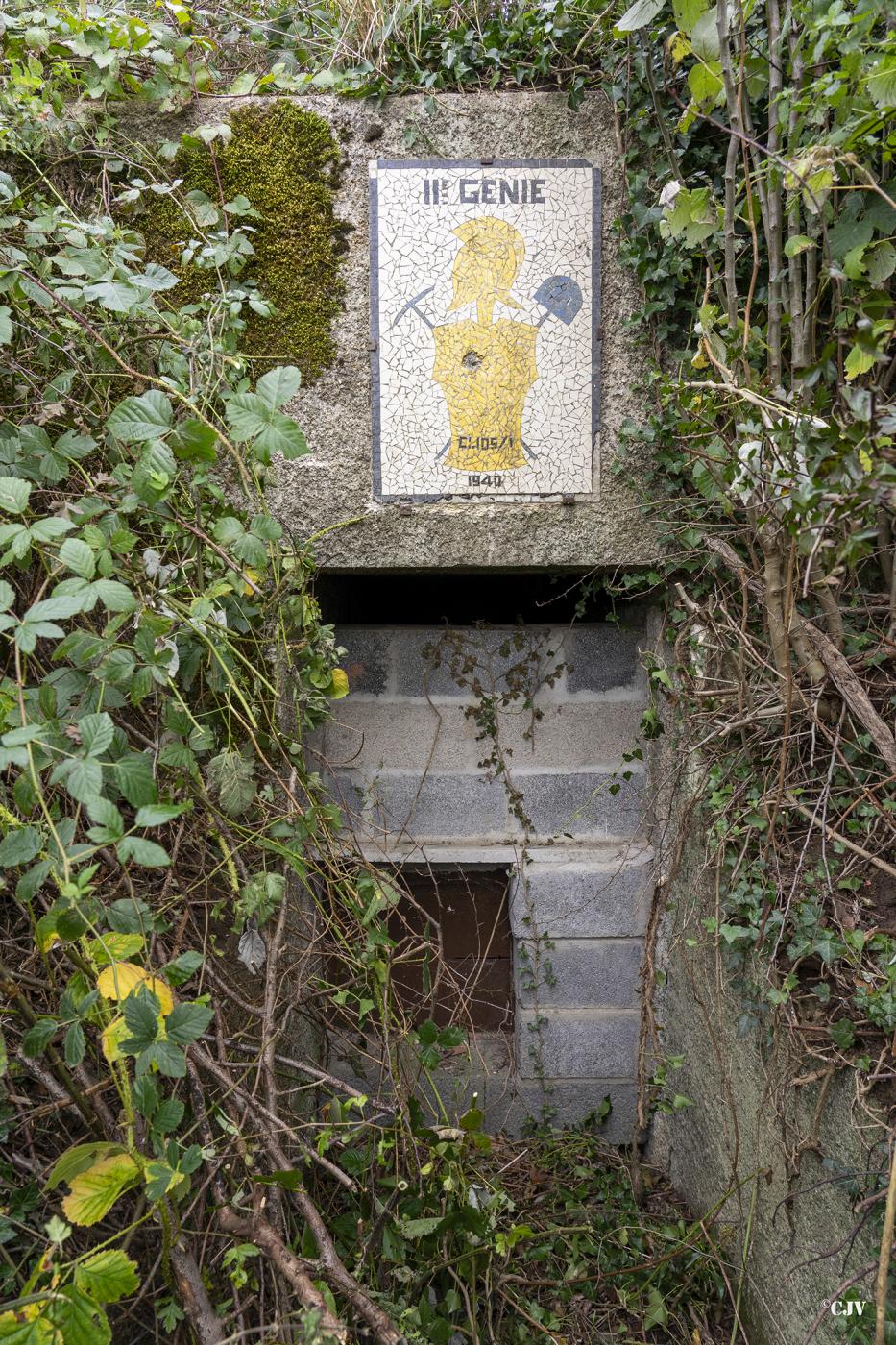Ligne Maginot - B572BIS - FERME DU HAMBU - (PC) - L'entrée obturé - Lia VERMEULEN