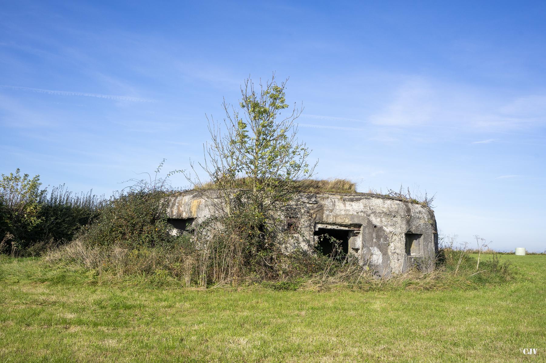 Ligne Maginot - B575 - CHEMIN DE BOIS-MADAME - (Blockhaus pour canon) -  - Lia VERMEULEN