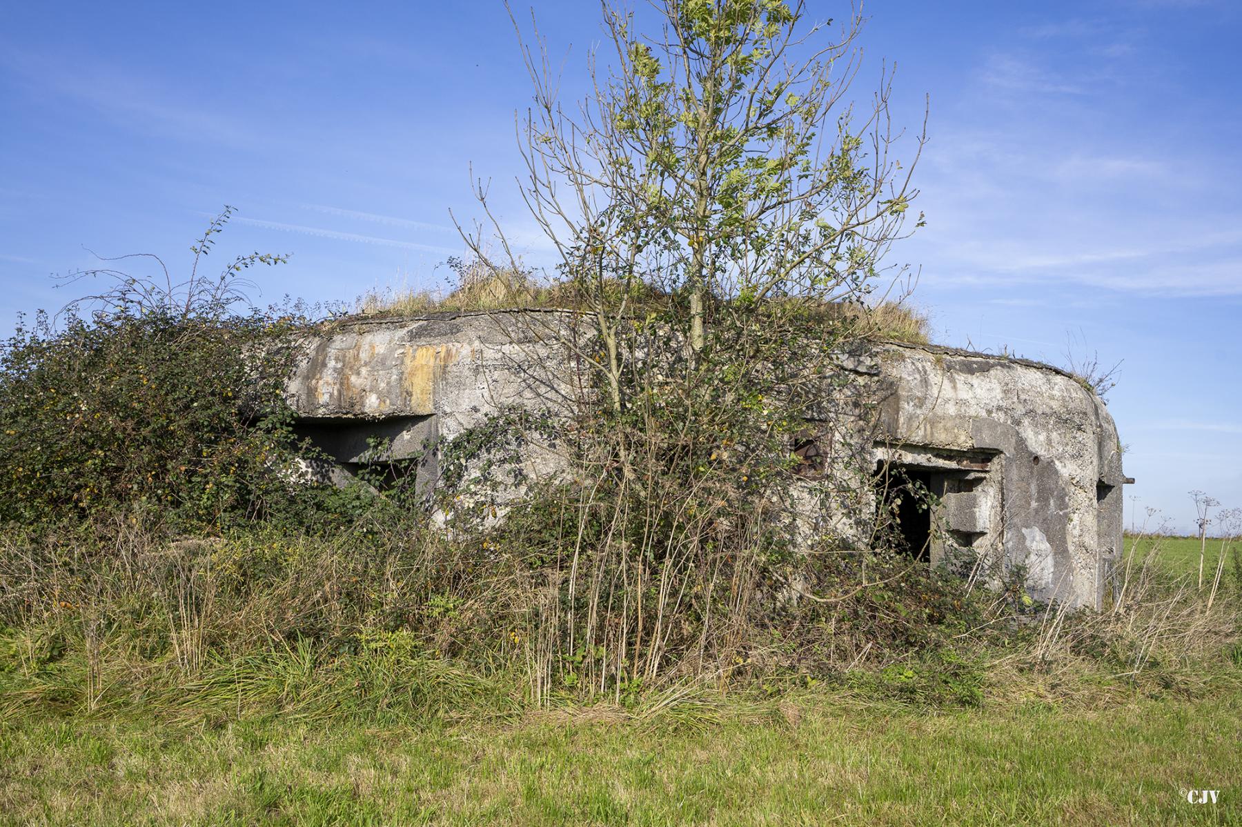 Ligne Maginot - B575 - CHEMIN DE BOIS-MADAME - (Blockhaus pour canon) -  - Lia VERMEULEN