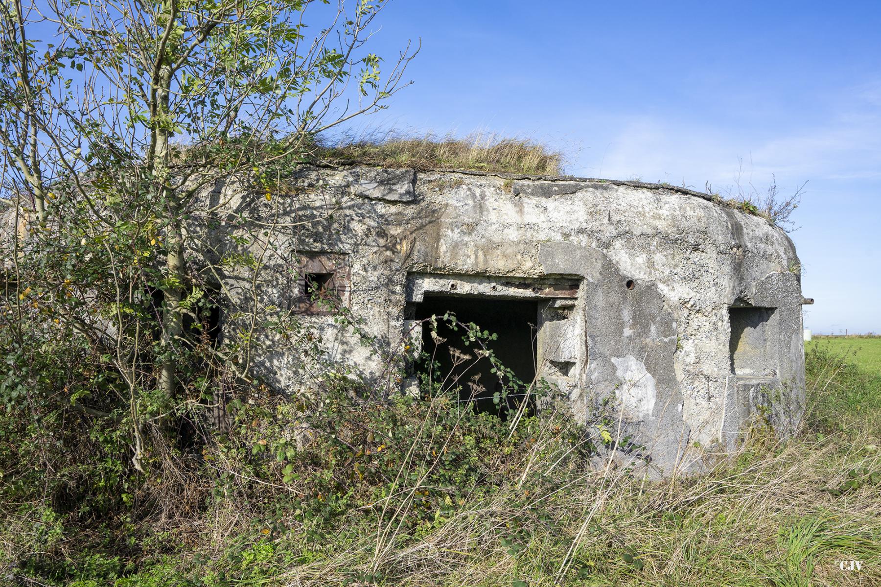 Ligne Maginot - B575 - CHEMIN DE BOIS-MADAME - (Blockhaus pour canon) -  - Lia VERMEULEN