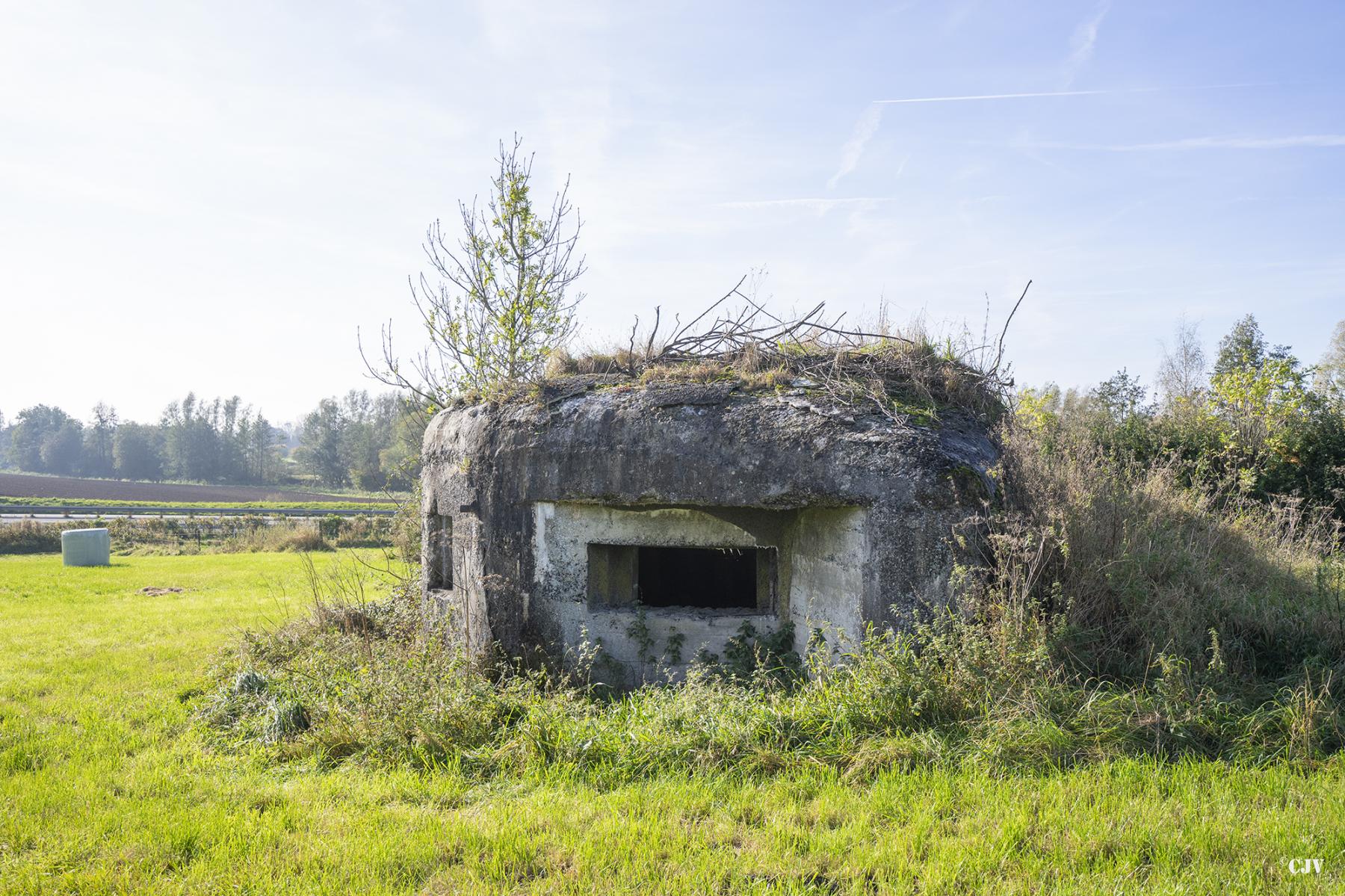 Ligne Maginot - B575 - CHEMIN DE BOIS-MADAME - (Blockhaus pour canon) -  - Lia VERMEULEN