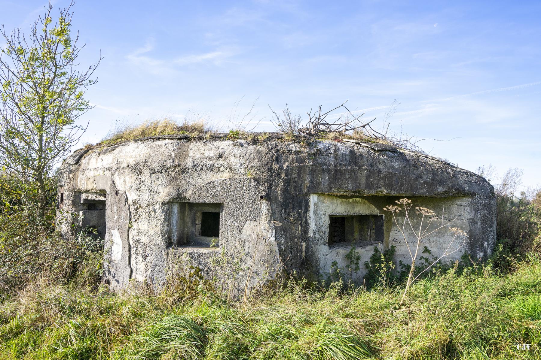 Ligne Maginot - B575 - CHEMIN DE BOIS-MADAME - (Blockhaus pour canon) -  - Lia VERMEULEN