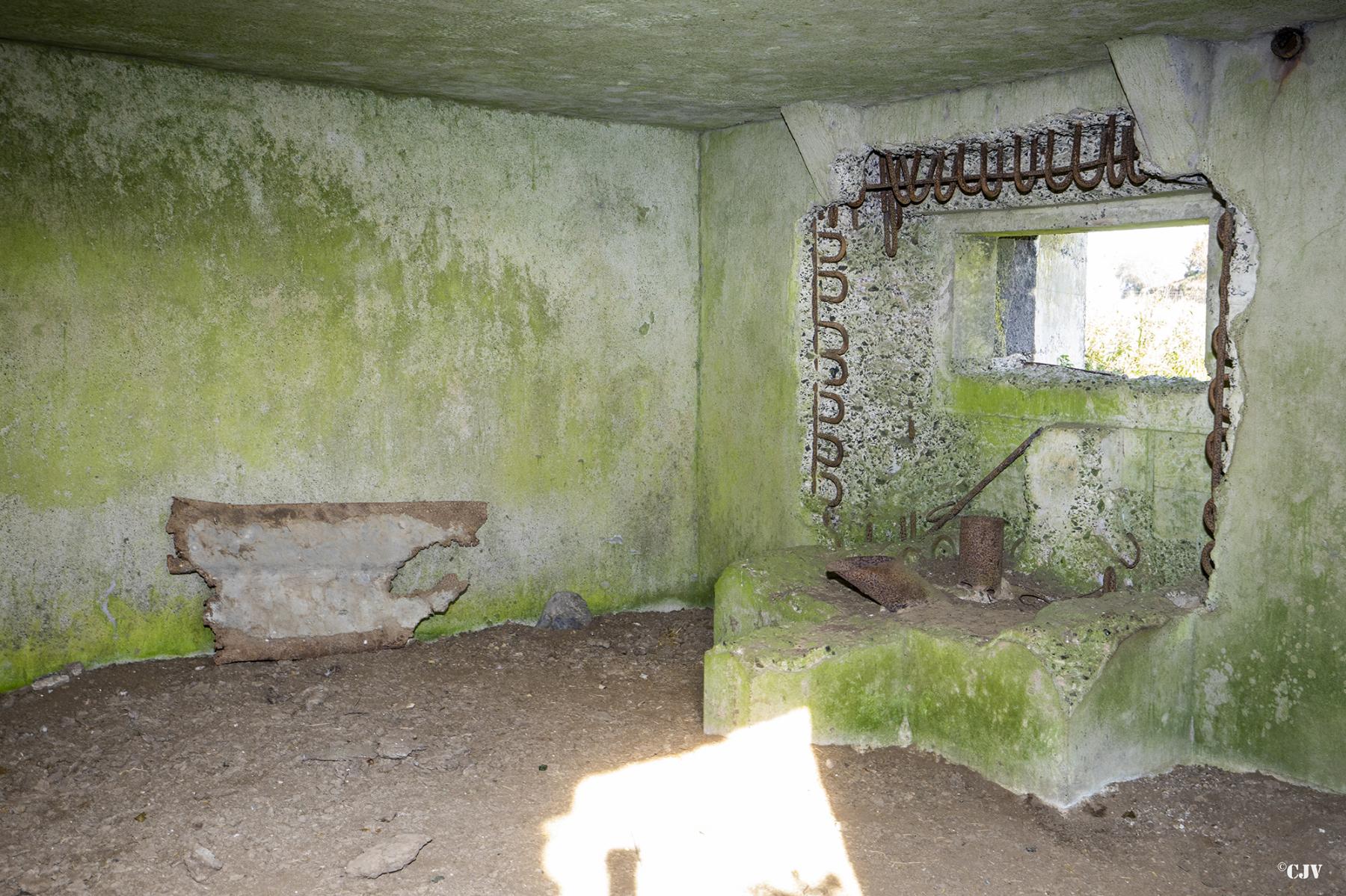 Ligne Maginot - B575 - CHEMIN DE BOIS-MADAME - (Blockhaus pour canon) -  - Lia VERMEULEN