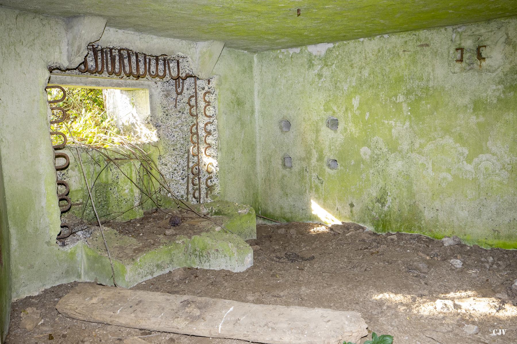 Ligne Maginot - B575 - CHEMIN DE BOIS-MADAME - (Blockhaus pour canon) -  - Lia VERMEULEN