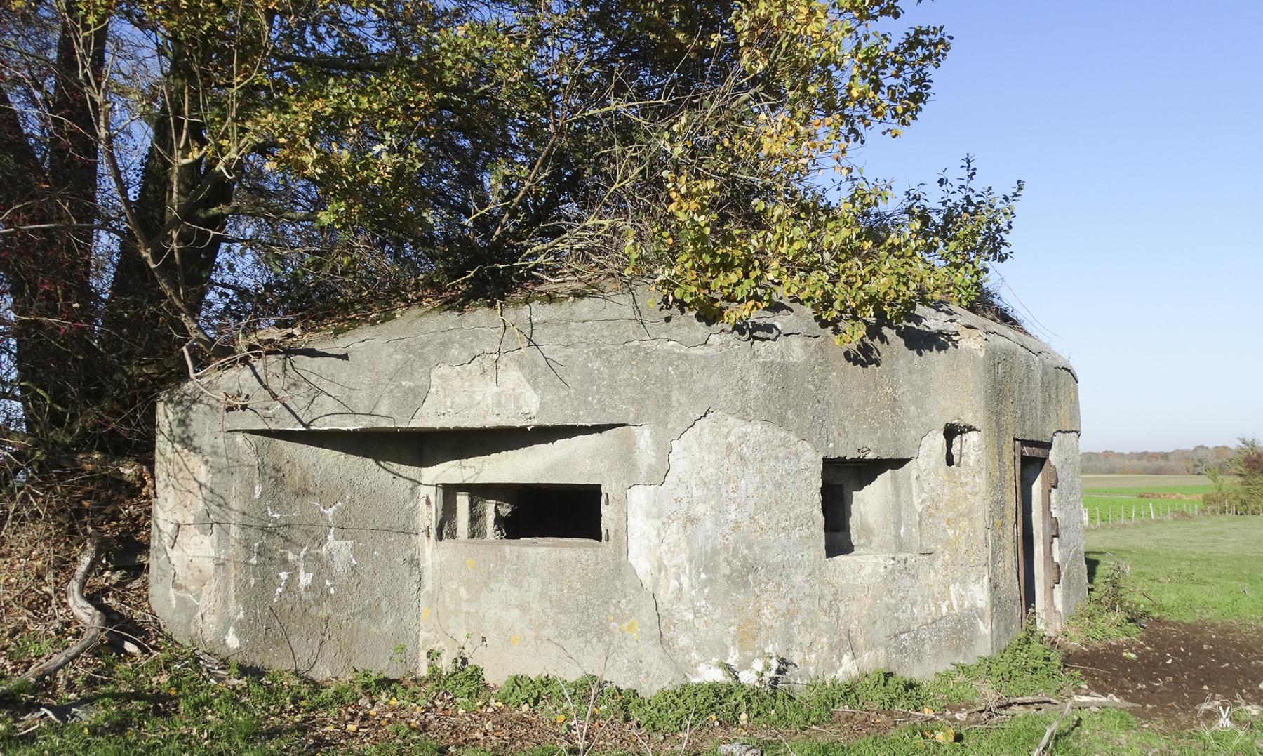 Ligne Maginot - B577 - LE GROS CHENE - (Blockhaus pour canon) -  - Vincent Vermeulen