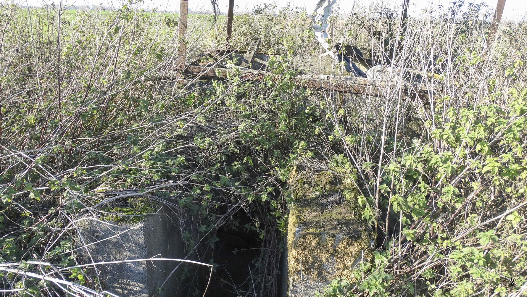 Ligne Maginot - B578 - GROS CHENE - (Observatoire d'artillerie) -  - Vincent Vermeulen