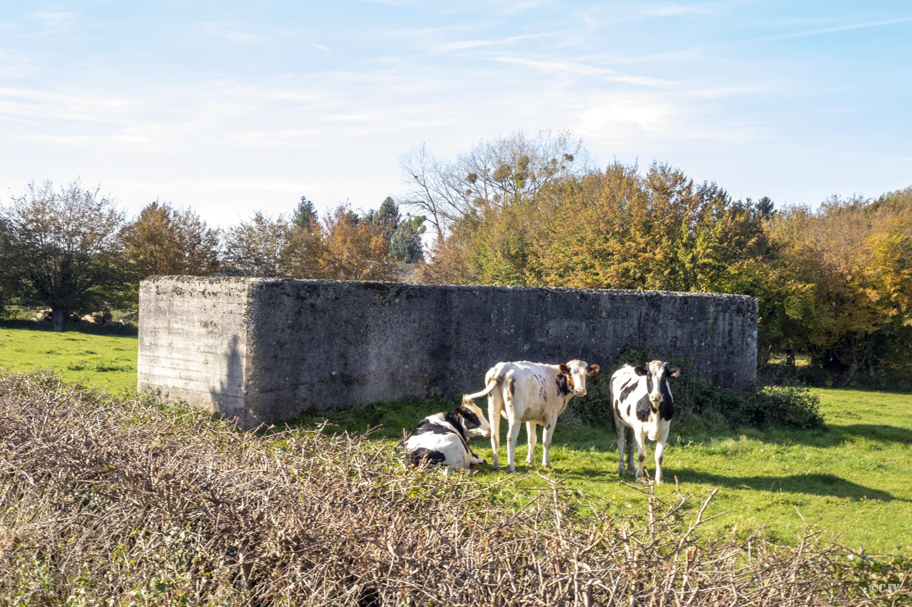Ligne Maginot - B580 - LES MOTTES - (Abri) -  - Lia VERMEULEN