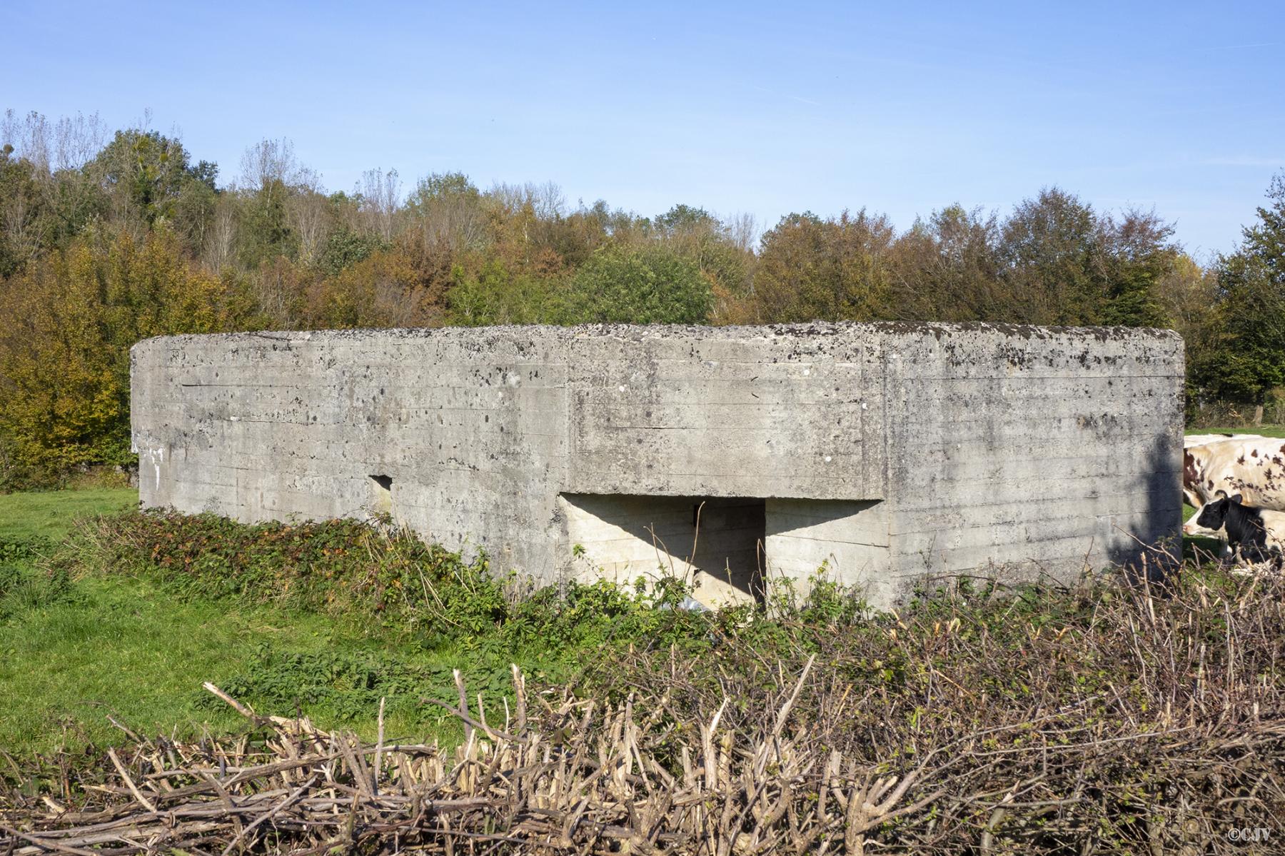 Ligne Maginot - B580 - LES MOTTES - (Abri) -  - Lia VERMEULEN