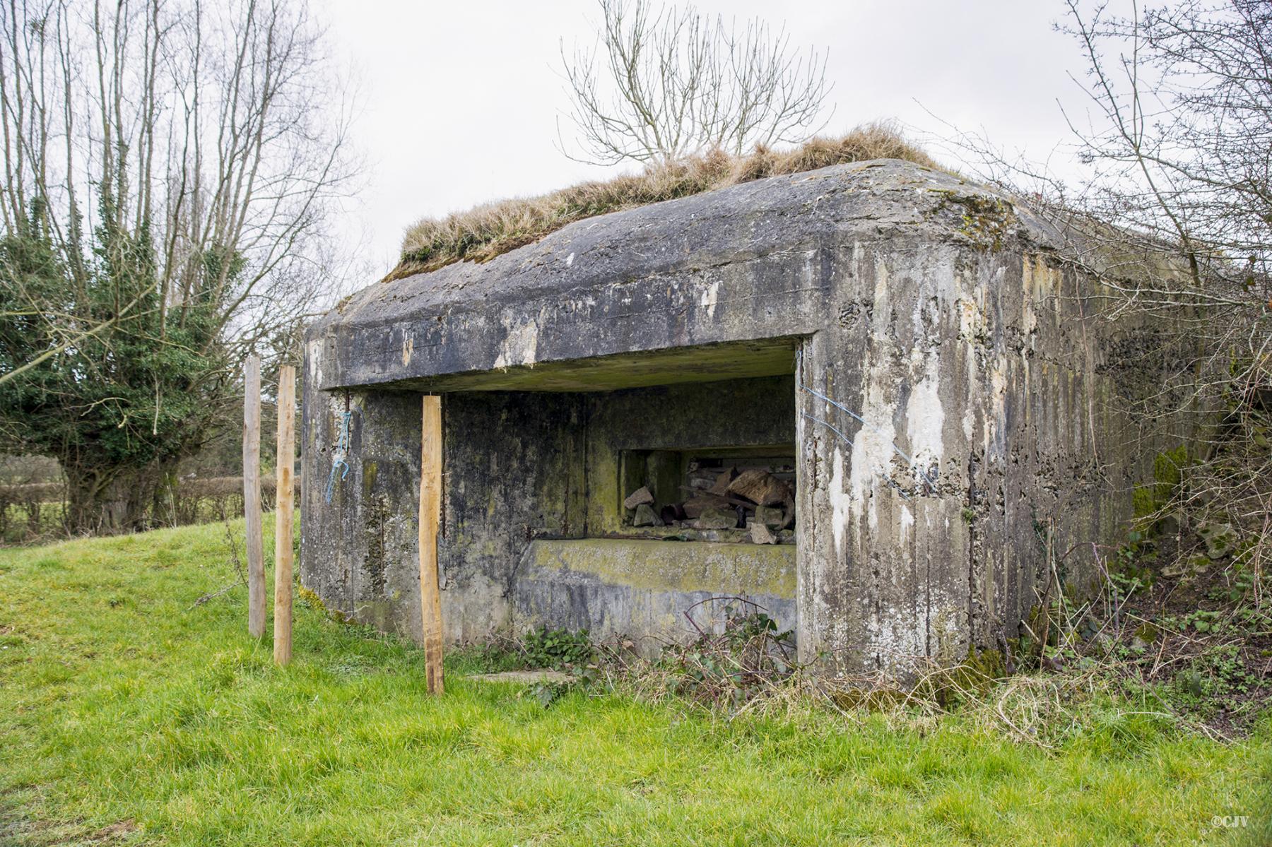 Ligne Maginot - B579 - LA QUEUE DE LA LANIERE - (Blockhaus pour canon) -  - Lia VERMEULEN