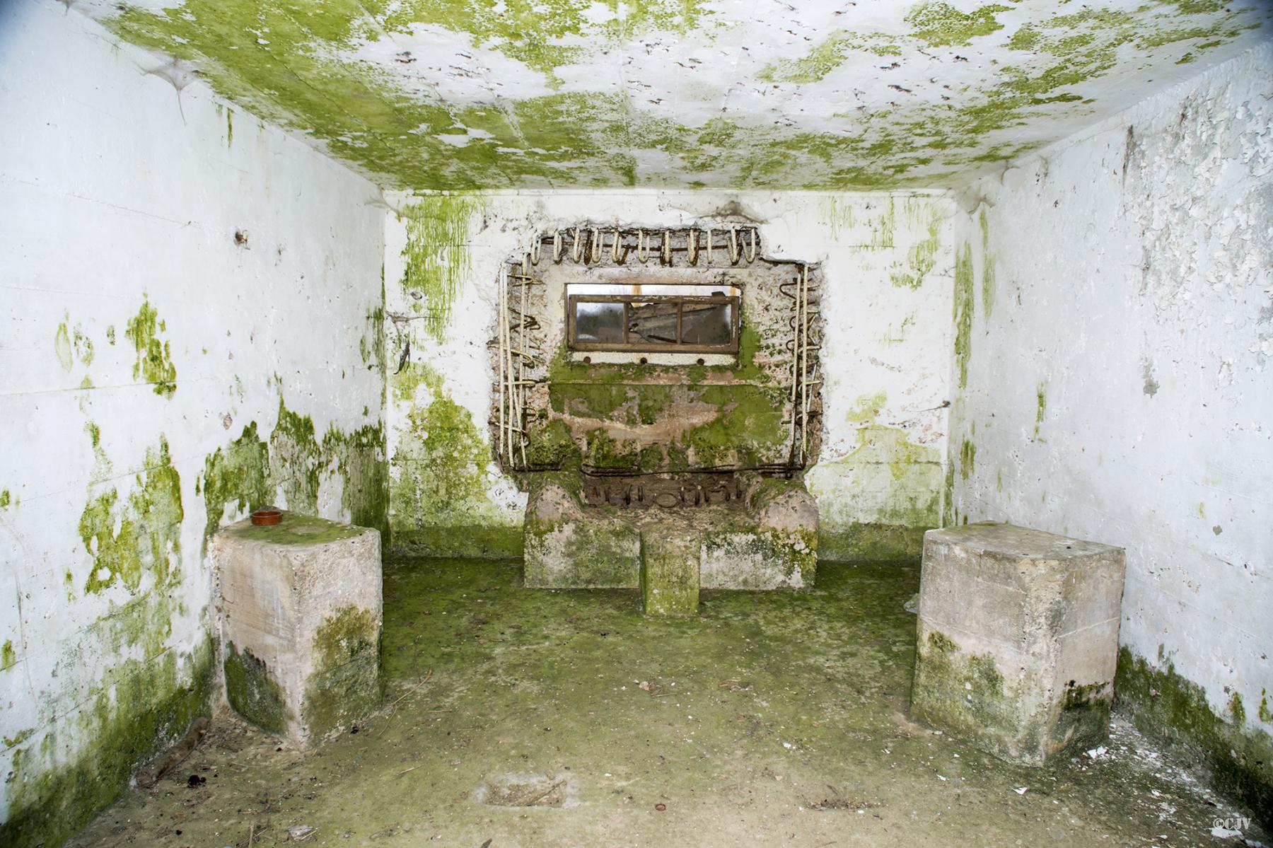 Ligne Maginot - B579 - LA QUEUE DE LA LANIERE - (Blockhaus pour canon) -  - Lia VERMEULEN
