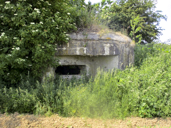 Ligne Maginot - B581 - La MAIN du BOIS (Blockhaus pour canon) - Situé dans son environnement. - Randonneur62