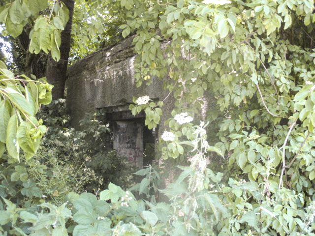 Ligne Maginot - B581 - La MAIN du BOIS (Blockhaus pour canon) -  - Randonneur62