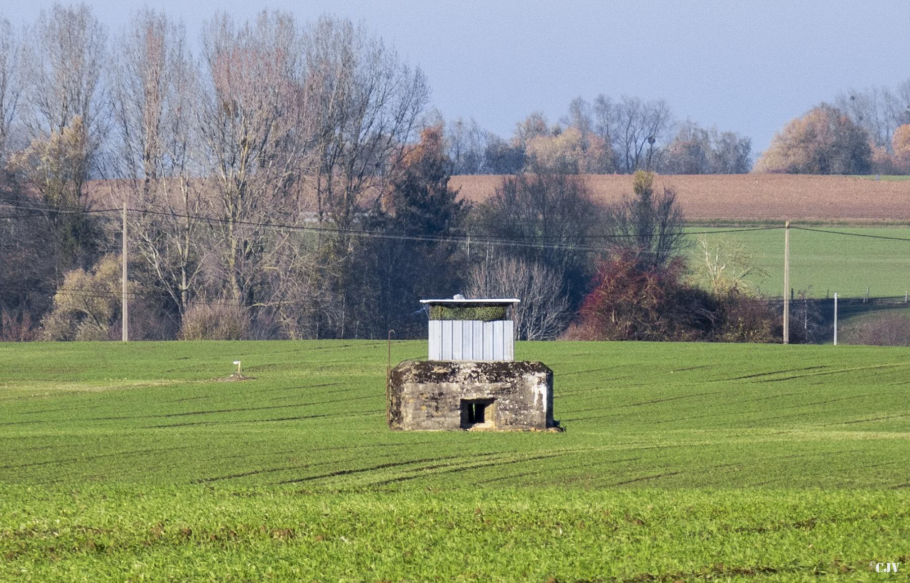 Ligne Maginot - B583 - HAMEAU SUR HON - (Blockhaus pour arme infanterie) -  - Lia VERMEULEN