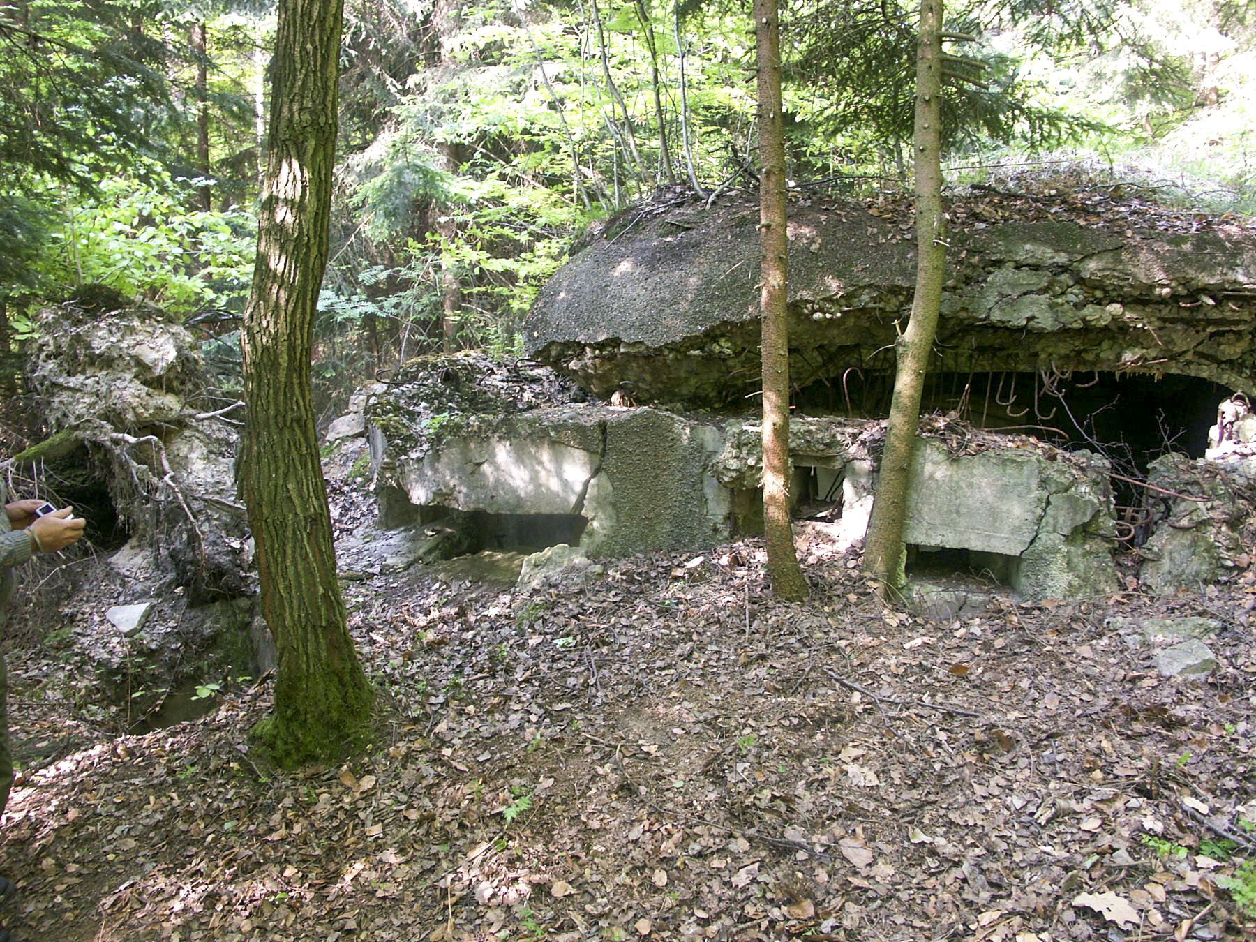 Ligne Maginot - SOMMET DU HOCHWALD 3 - (Blockhaus pour arme infanterie) - Le blockhaus détruit
A gauche la coupole mitrailleuse, à droite un créneau pour FM - Pascal Lambert