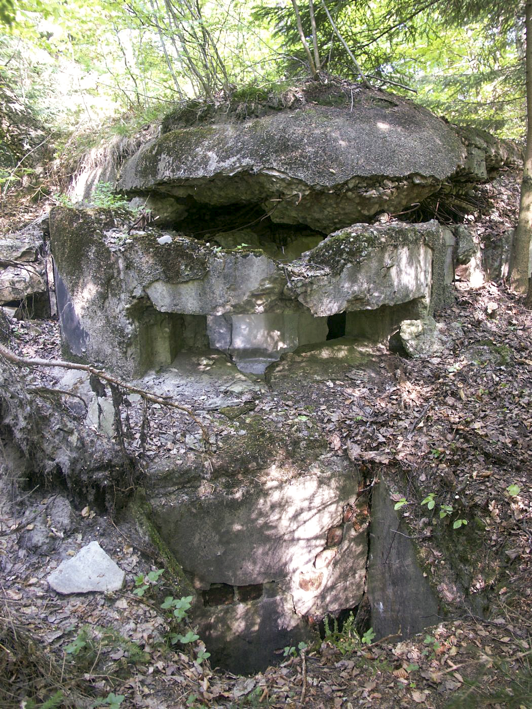 Ligne Maginot - SOMMET DU HOCHWALD 3 - (Blockhaus pour arme infanterie) - La coupole mitrailleuse et sa fosse à douilles - Pascal Lambert