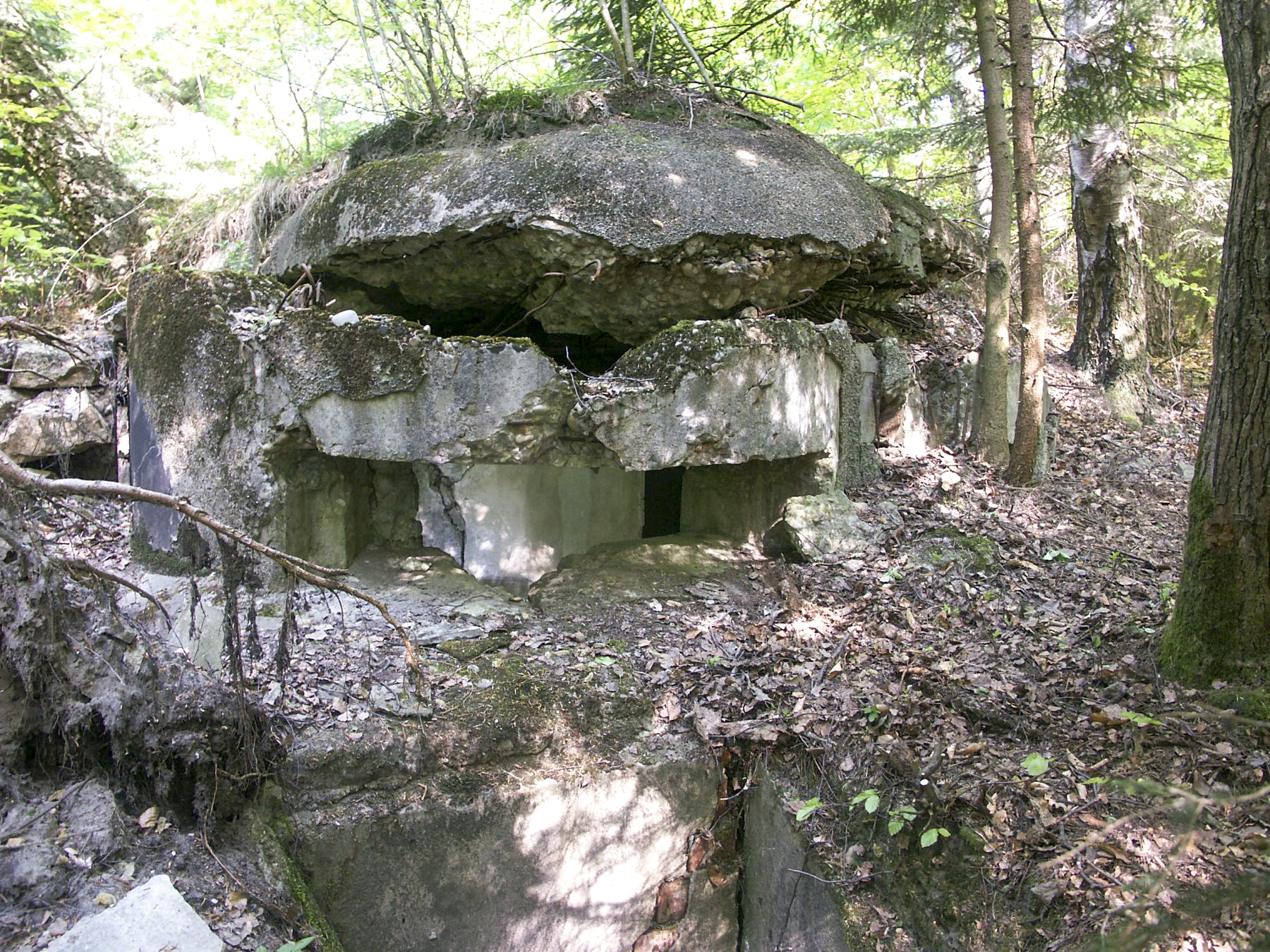 Ligne Maginot - SOMMET DU HOCHWALD 3 - (Blockhaus pour arme infanterie) - La coupole mitrailleuse - Pascal Lambert