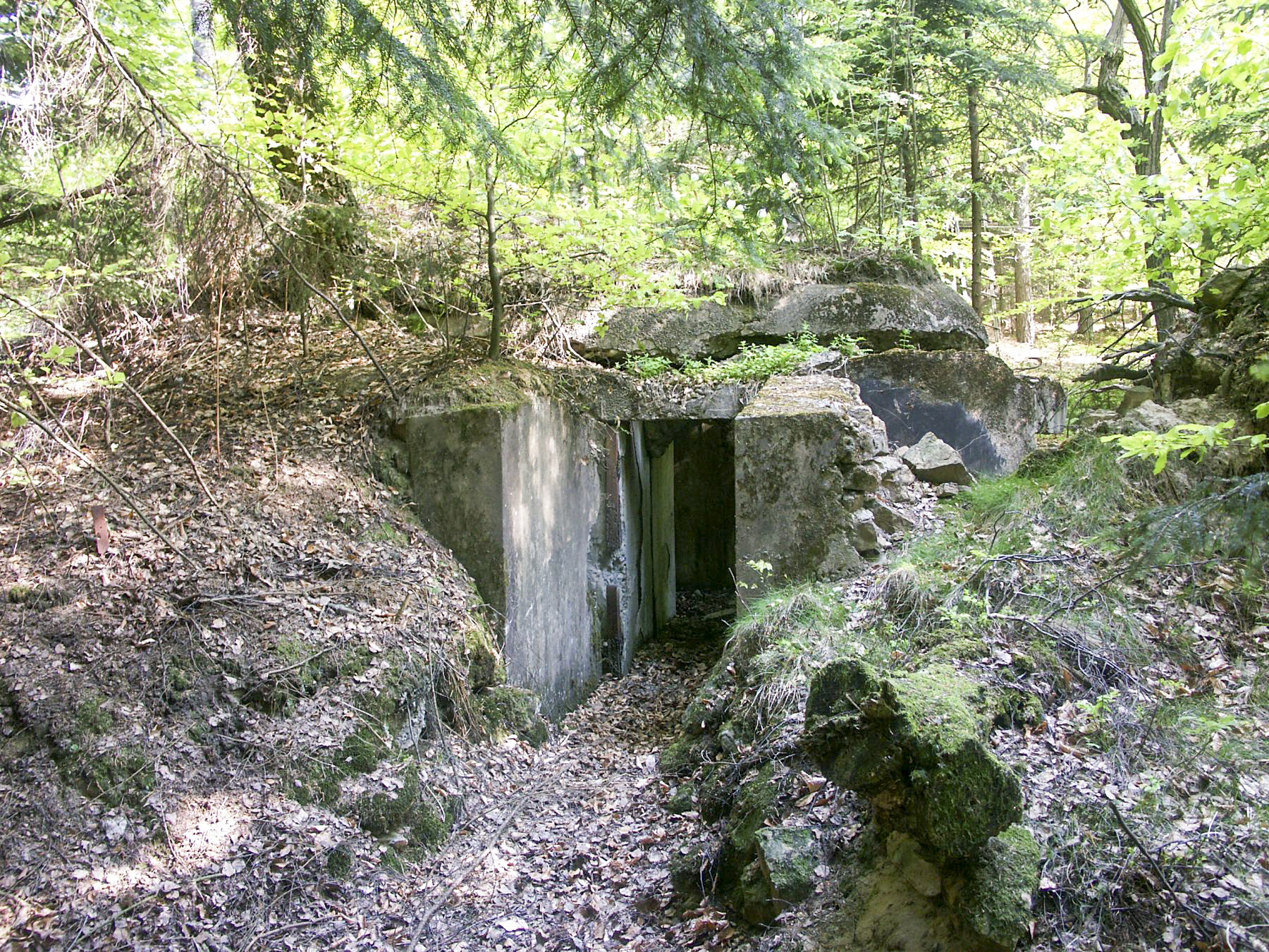 Ligne Maginot - SOMMET DU HOCHWALD 3 - (Blockhaus pour arme infanterie) - L'entrée  - Pascal Lambert