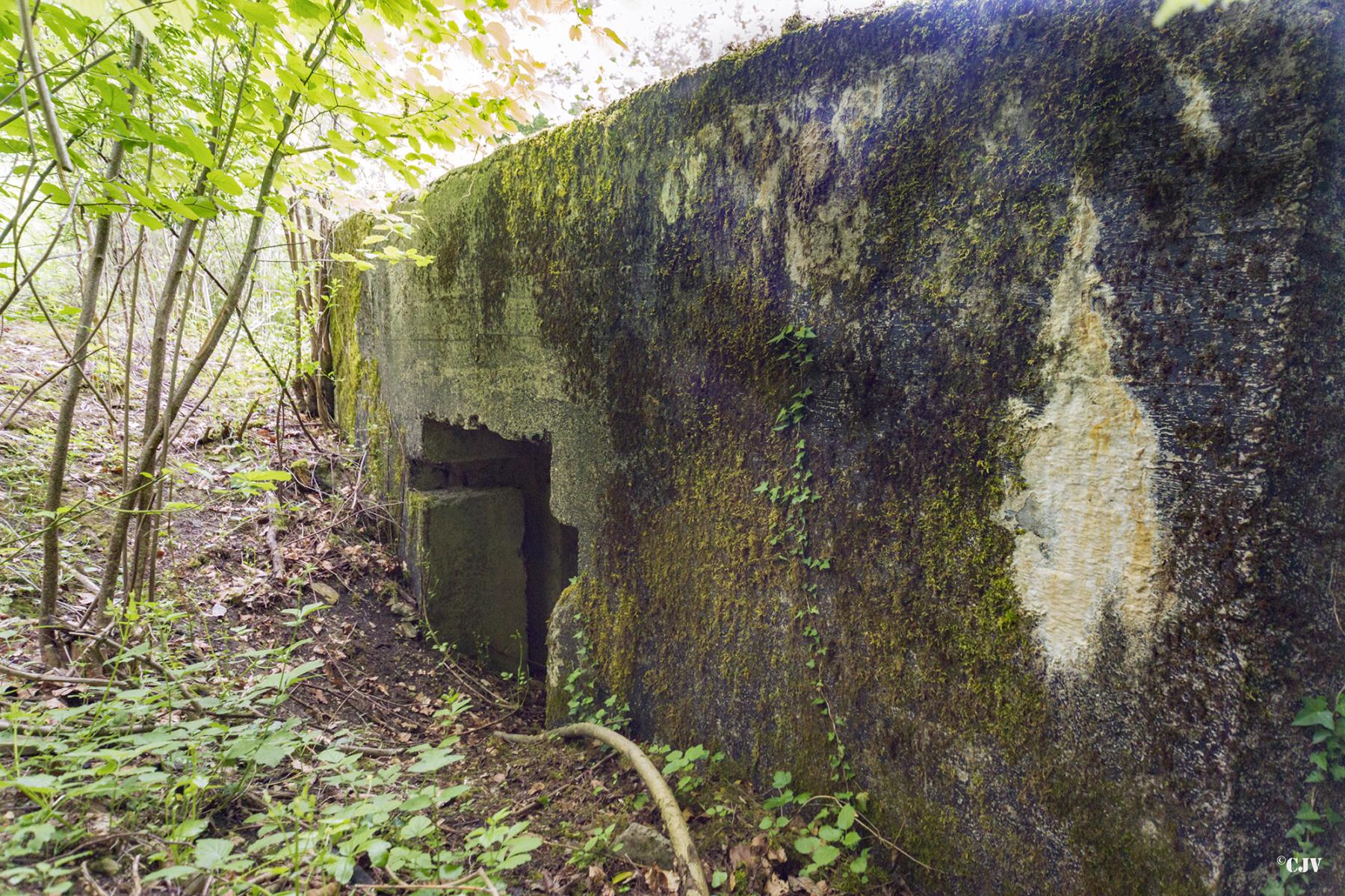 Ligne Maginot - ROUY 2 - (Blockhaus pour canon) -  - Lia VERMEULEN