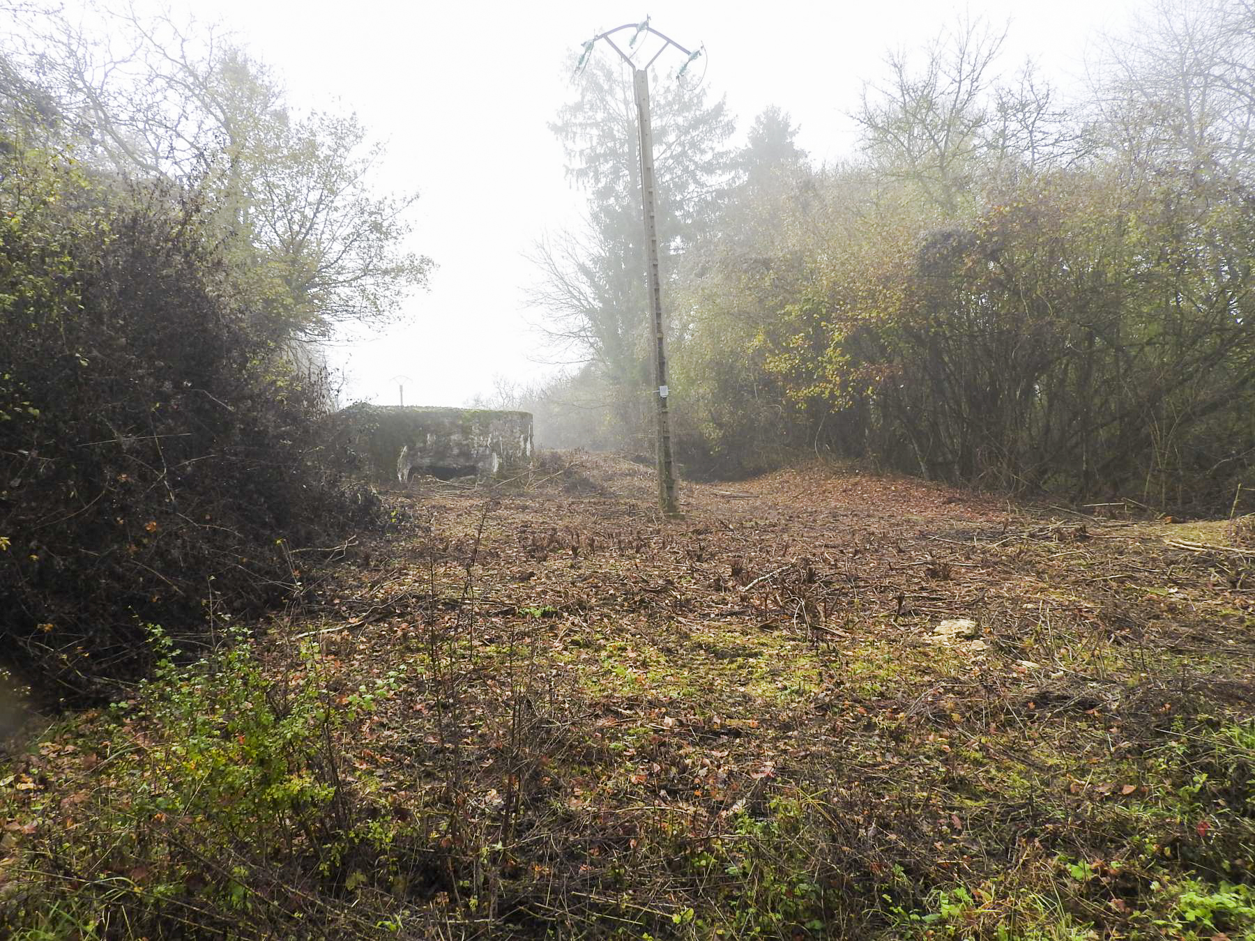 Ligne Maginot - ROUY 2 - (Blockhaus pour canon) - Le blockhaus
Dégagé en 2021 - STENGER Mathieu