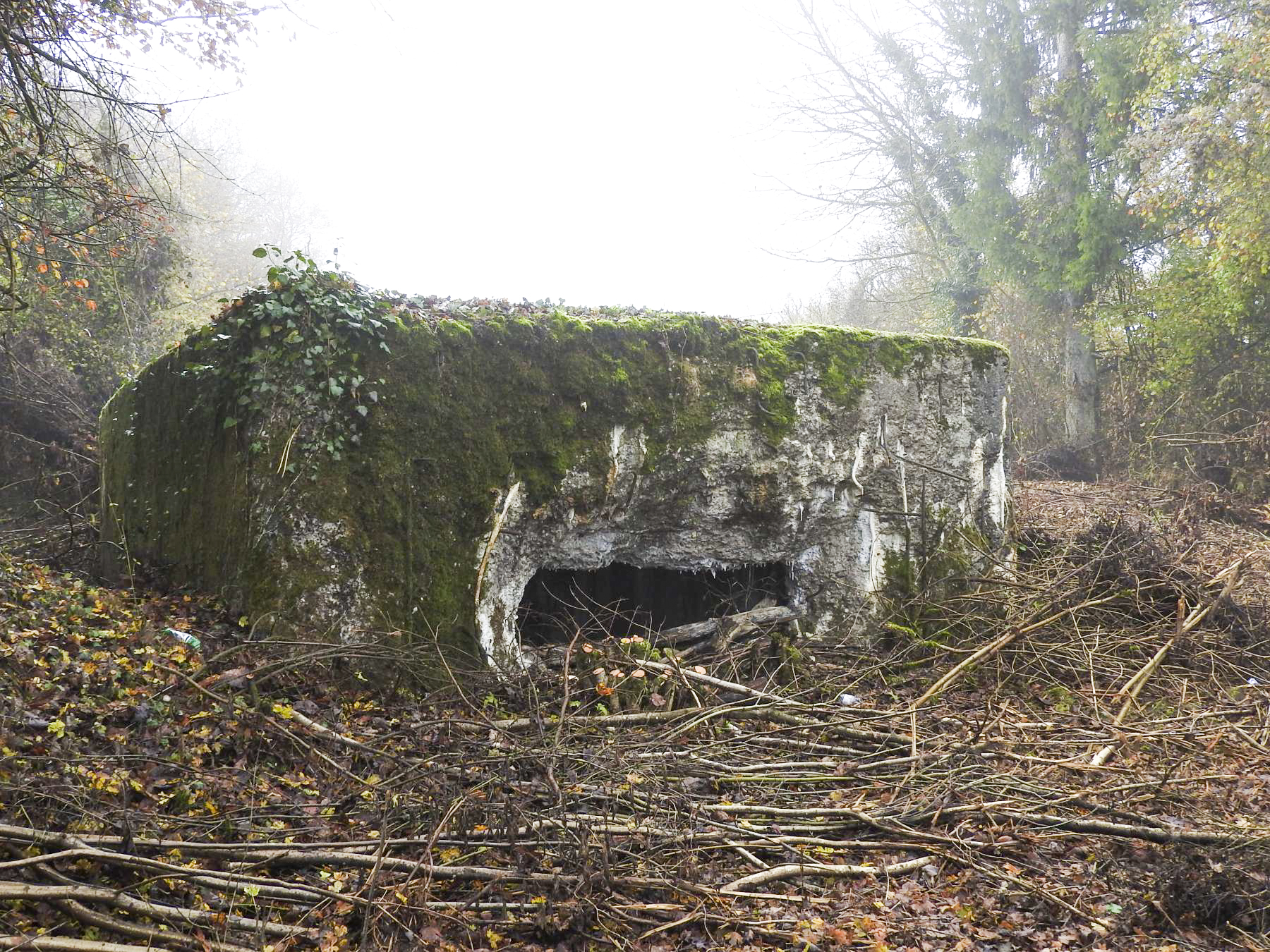 Ligne Maginot - ROUY 2 - (Blockhaus pour canon) - Vue frontal - STENGER Mathieu