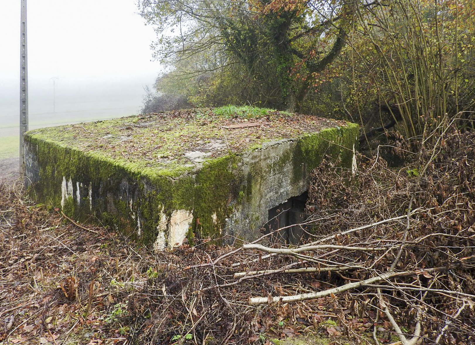 Ligne Maginot - ROUY 2 - (Blockhaus pour canon) - Vue de l'entrée du matériel - STENGER Mathieu