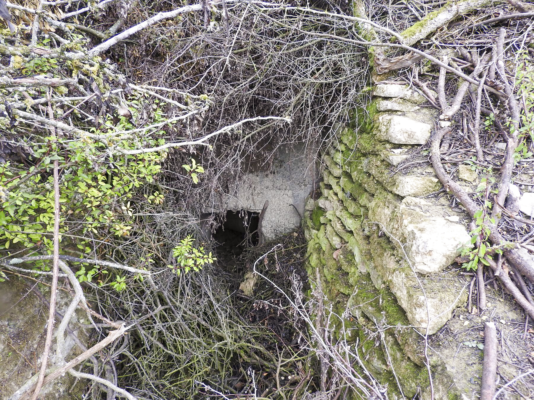 Ligne Maginot - GROSSEN FELD OUEST - (Blockhaus de type indéterminé) - La seule partie visible du blockhaus. - STENGER Mathieu