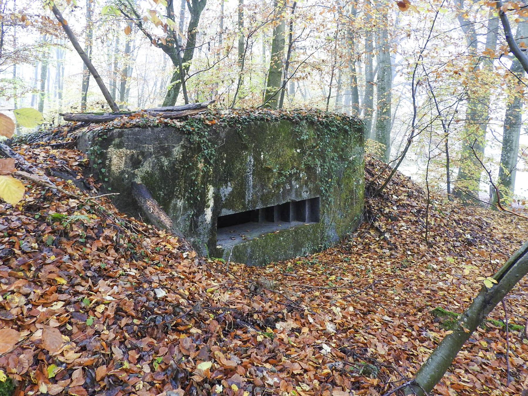 Ligne Maginot - STOCKEN 5 - (Blockhaus pour canon) - La façade de tir du blockhaus. - STENGER Mathieu