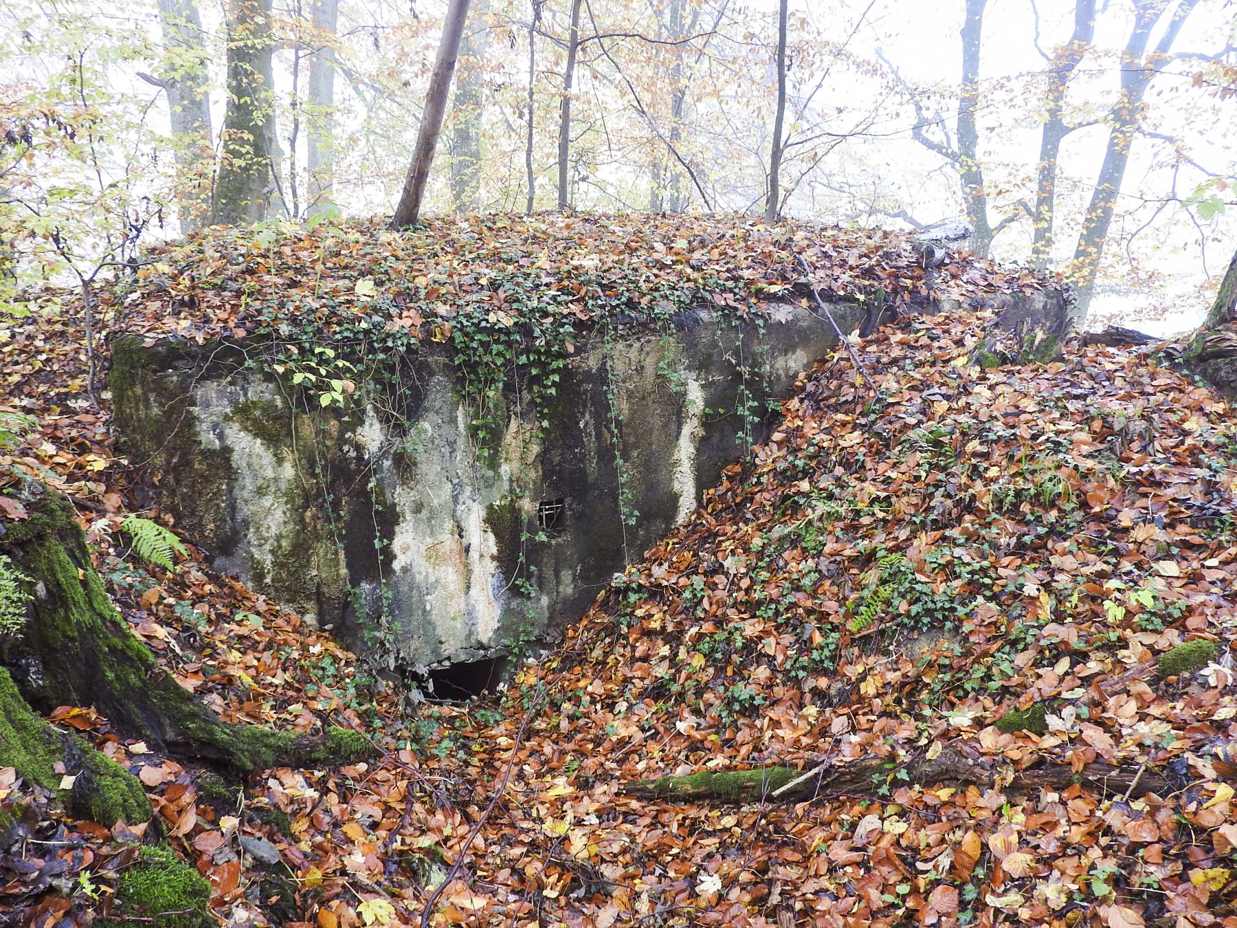 Ligne Maginot - STOCKEN 5 - (Blockhaus pour canon) - L'entrée latérale est remblayée. - STENGER Mathieu
